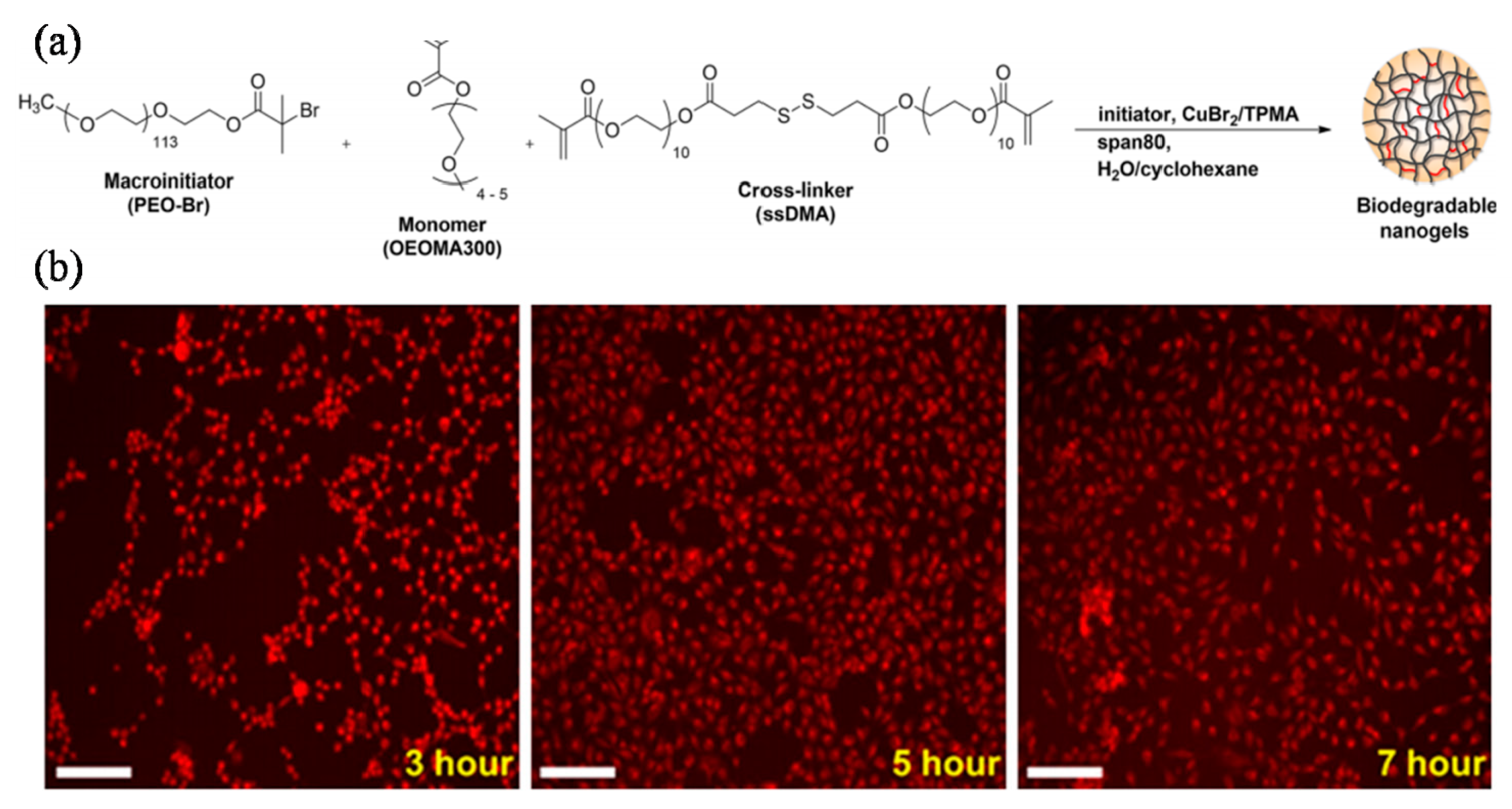 Polymers 10 00758 g008 Polymers 10 00758 g008