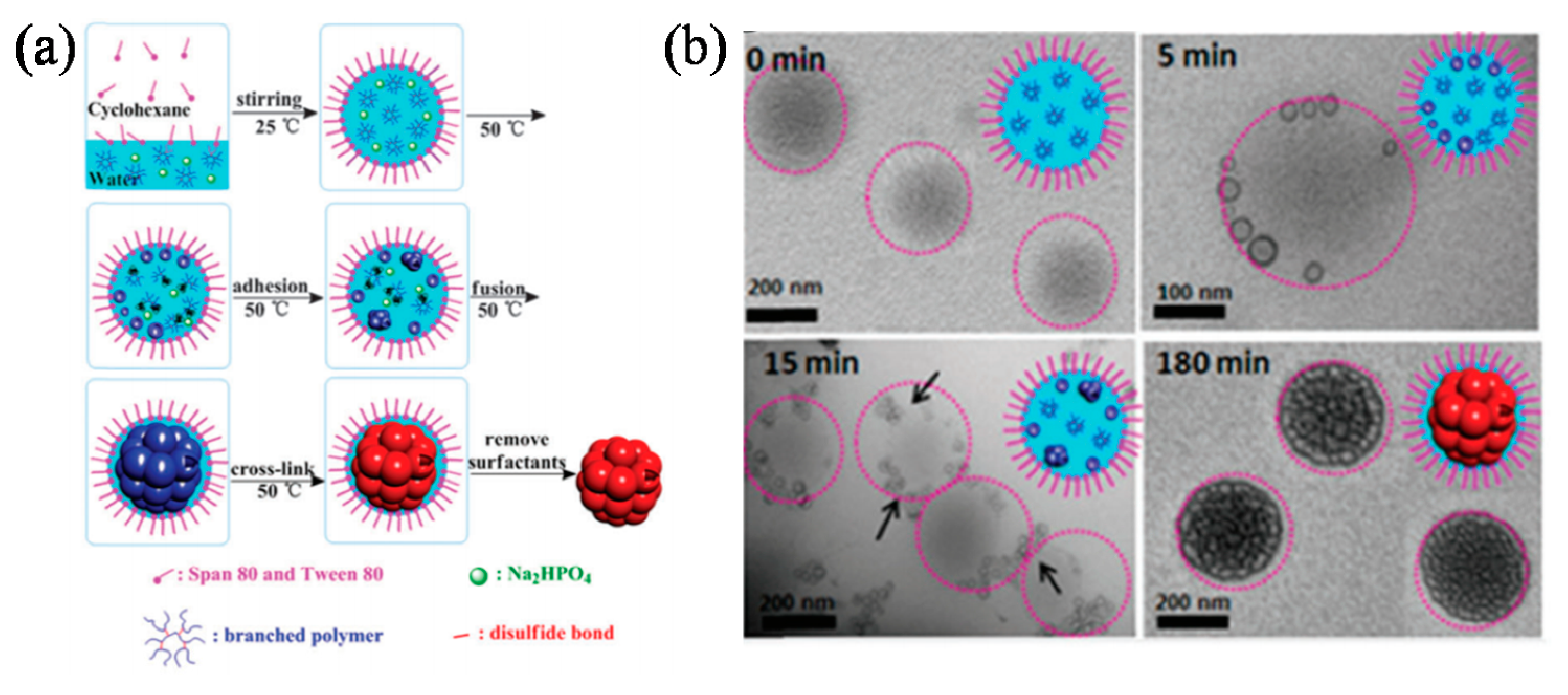 Polymers 10 00758 g010 Polymers 10 00758 g010