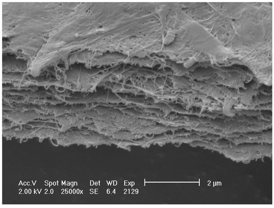 Polymers Free Full Text Structure Related Gelling Of Pectins And Linking With Other Natural Compounds A Review Html