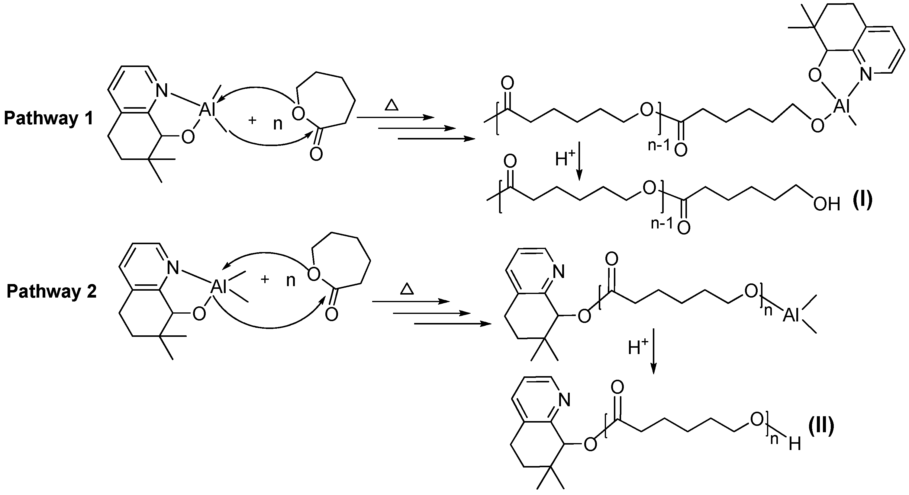 Polymers 10 00764 sch002 550