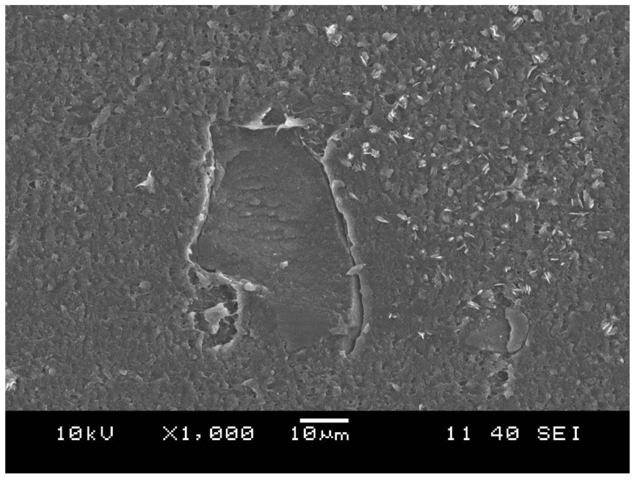 Polymers 10 00767 g011