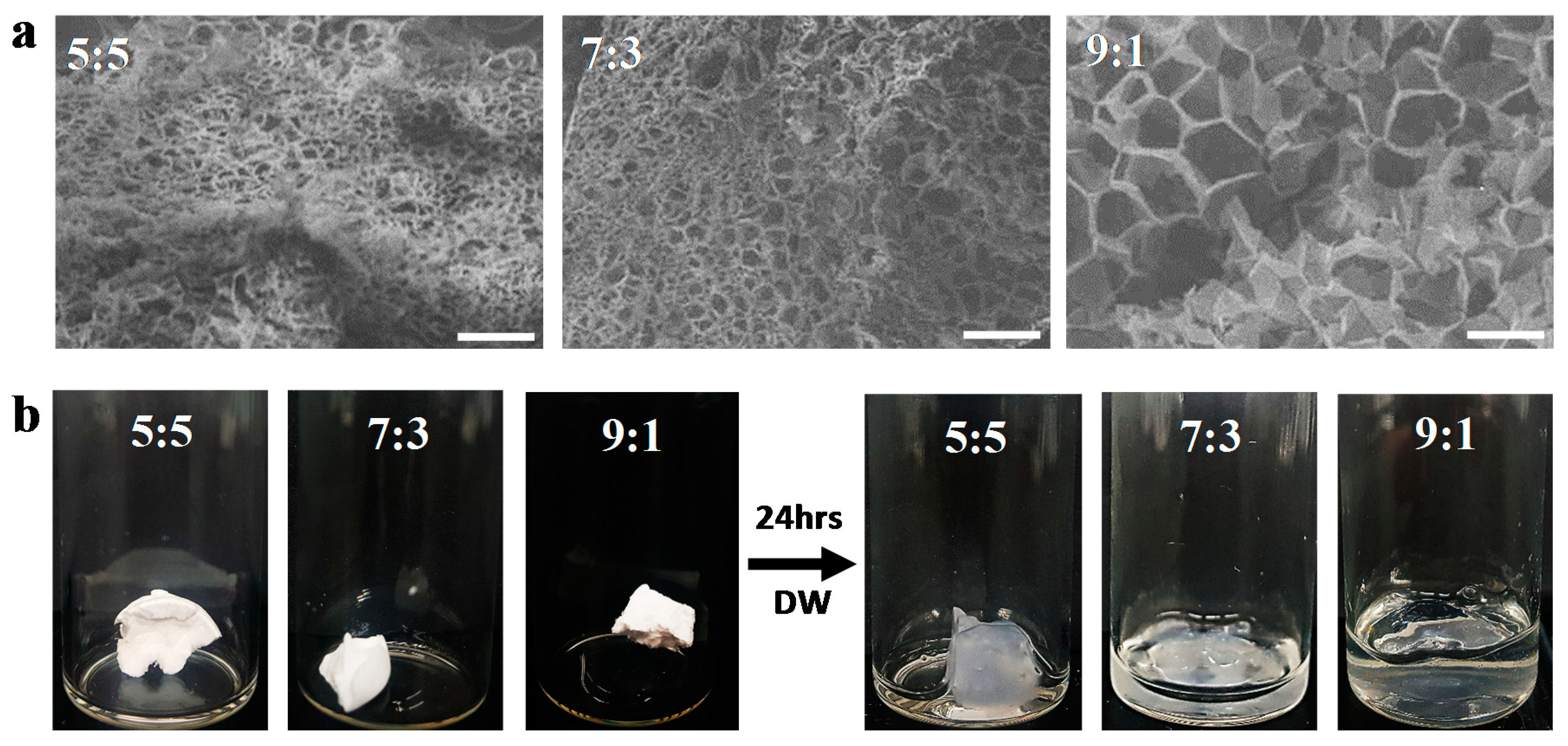 Polymers 10 00772 g003 Polymers 10 00772 g003