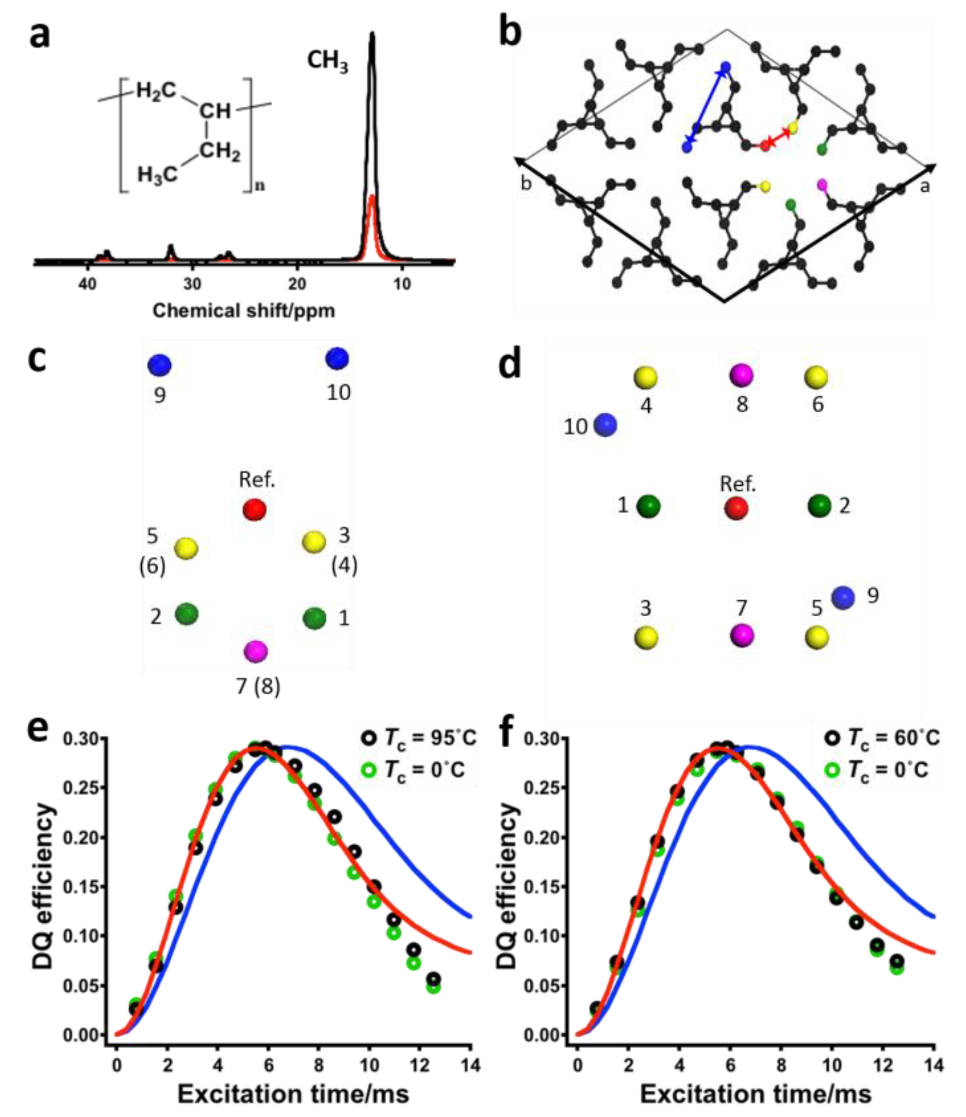 Solid State NMR Studies of Biopolymers