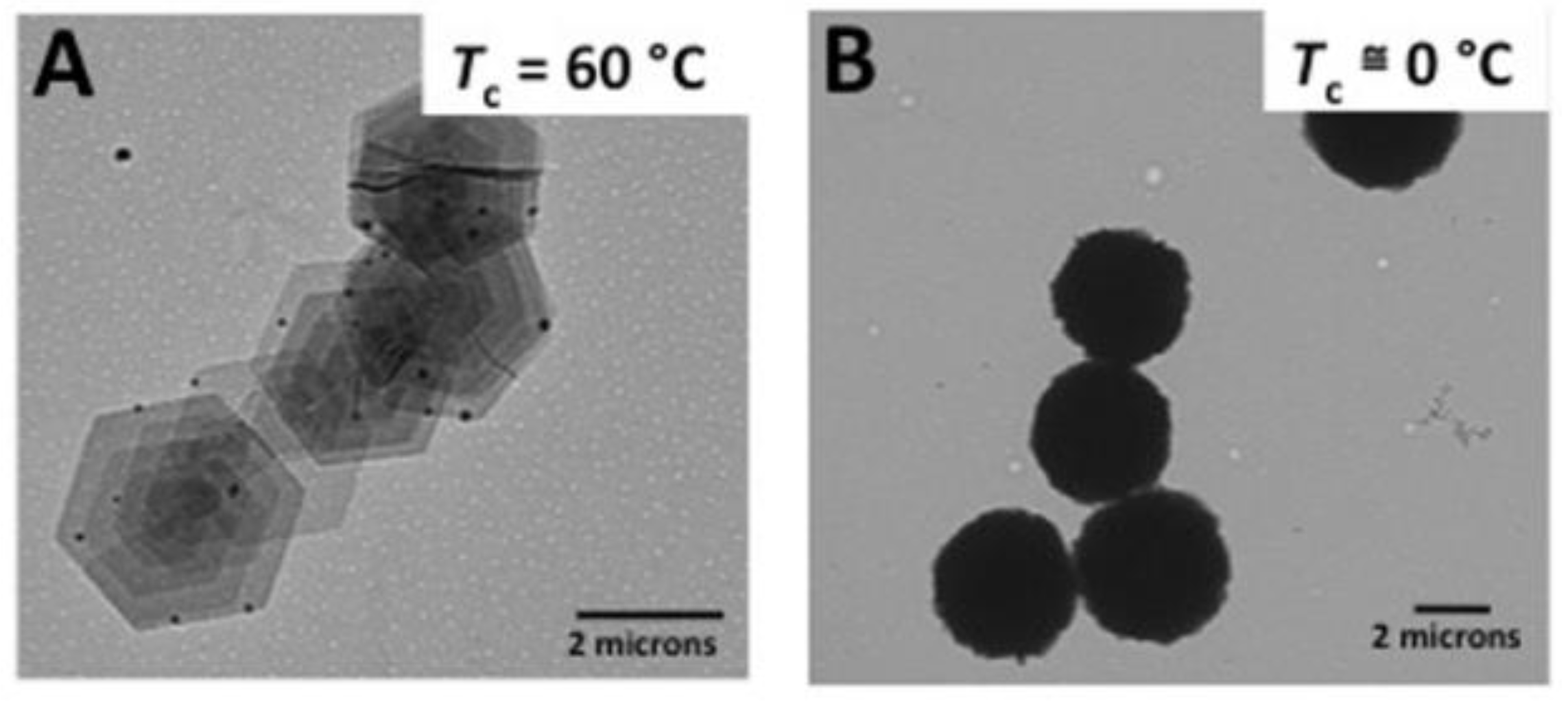 Polymers 10 00775 g004