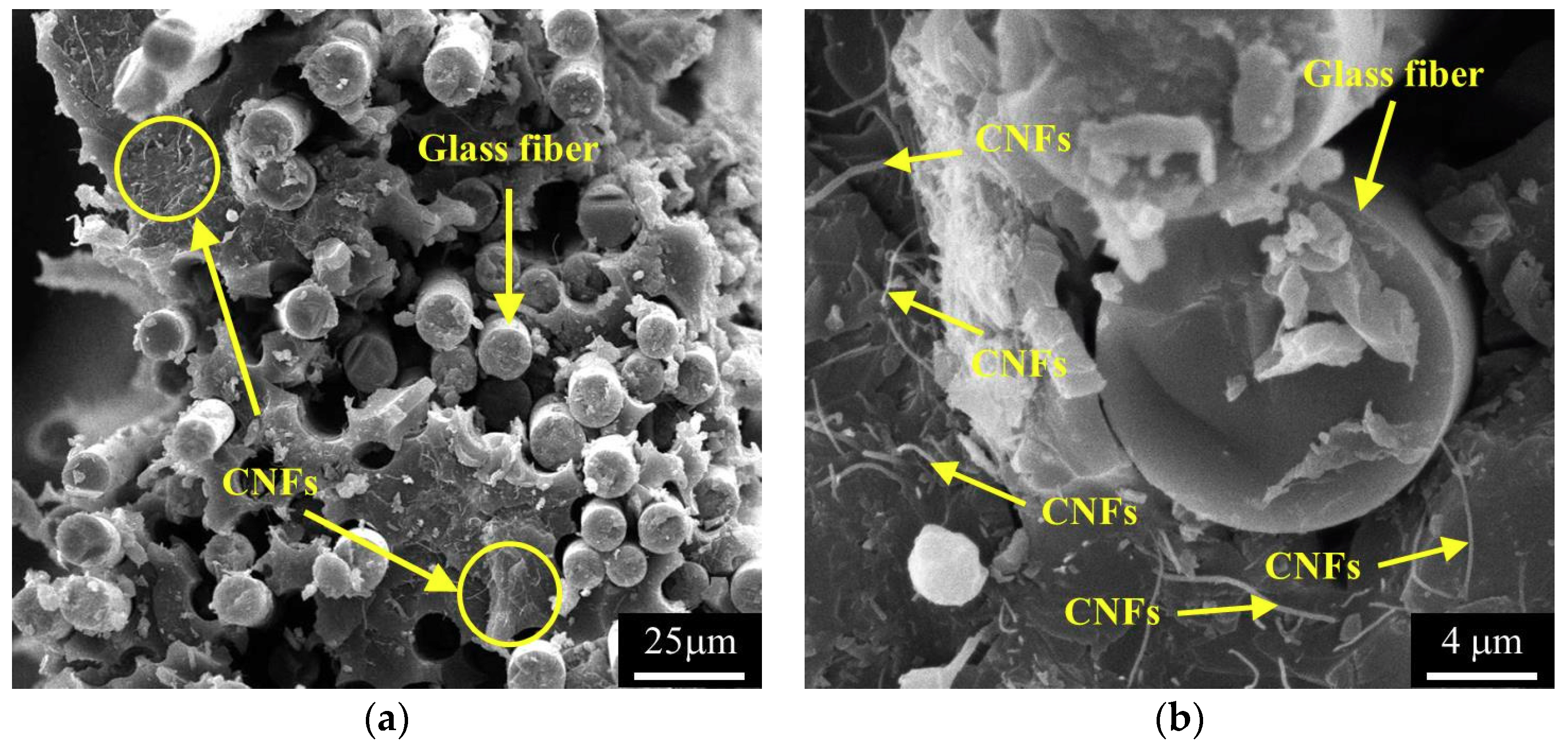 Polymers 10 00777 g006 Polymers 10 00777 g006