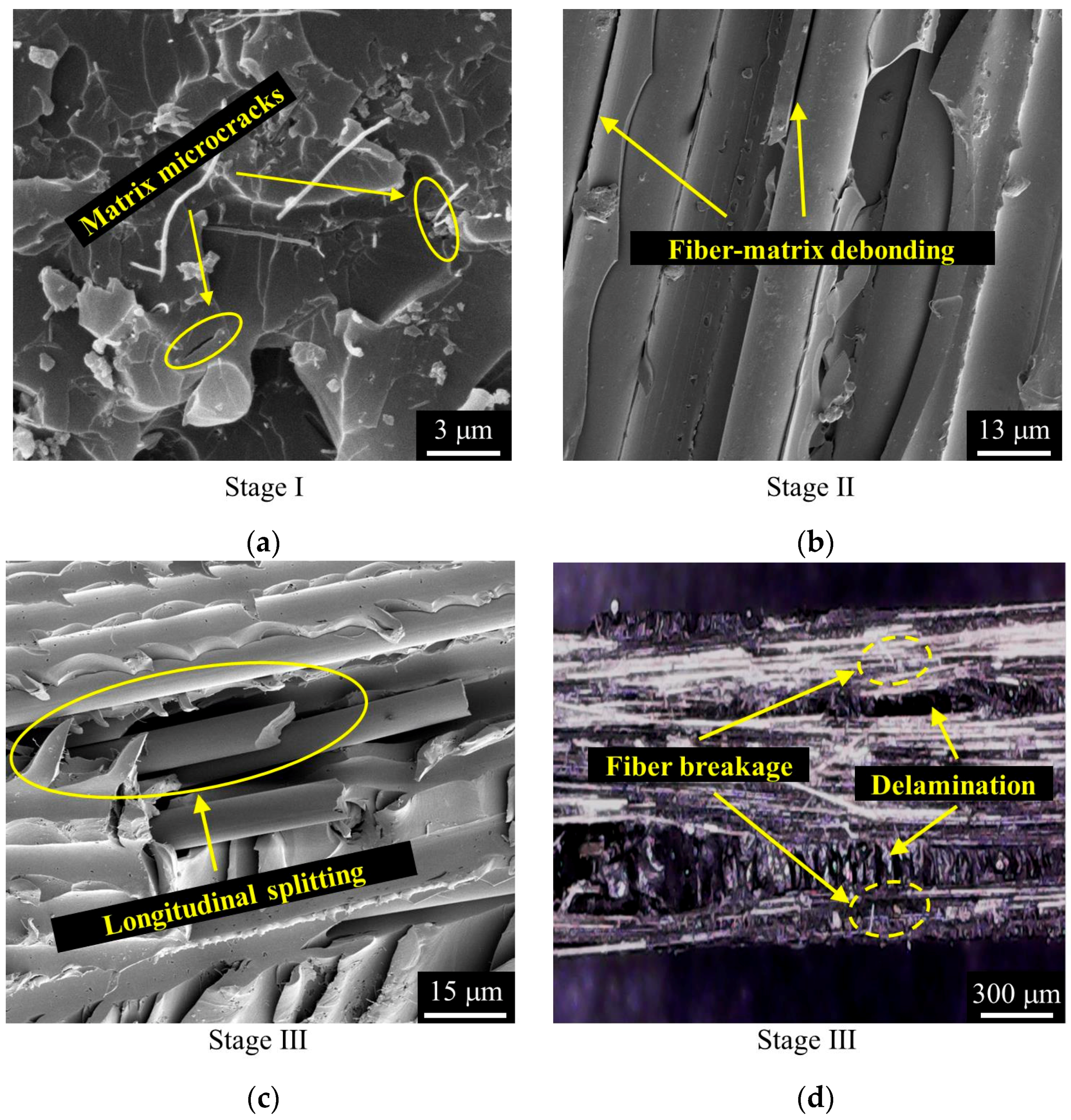 Polymers 10 00777 g008 Polymers 10 00777 g008