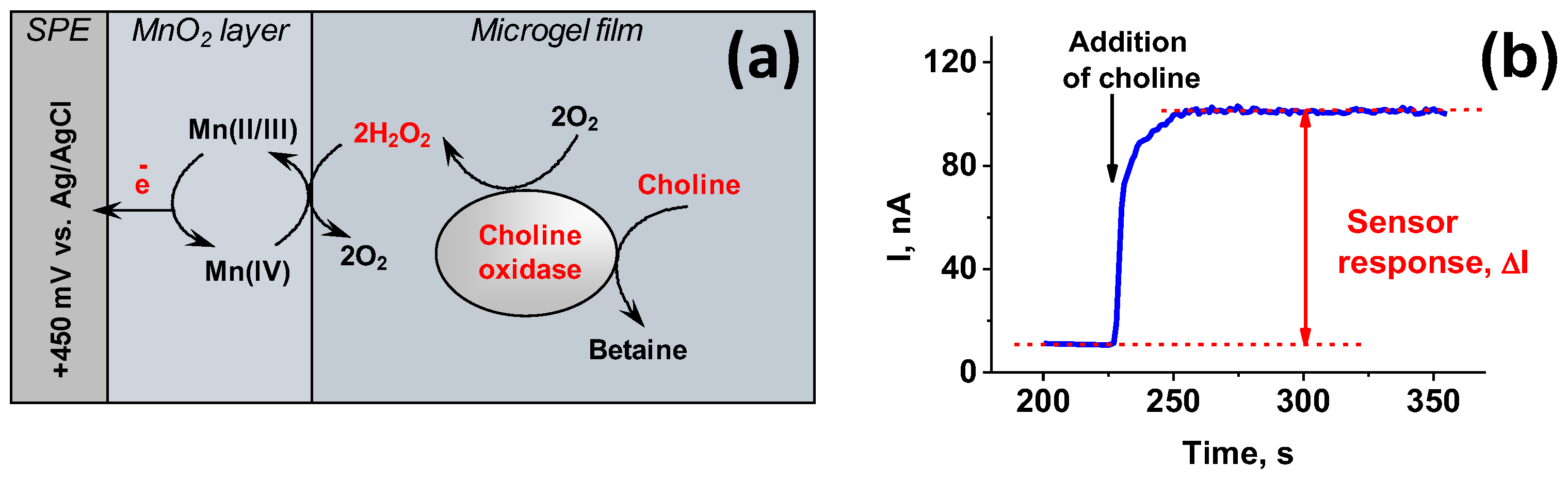 Polymers 10 00791 sch002
