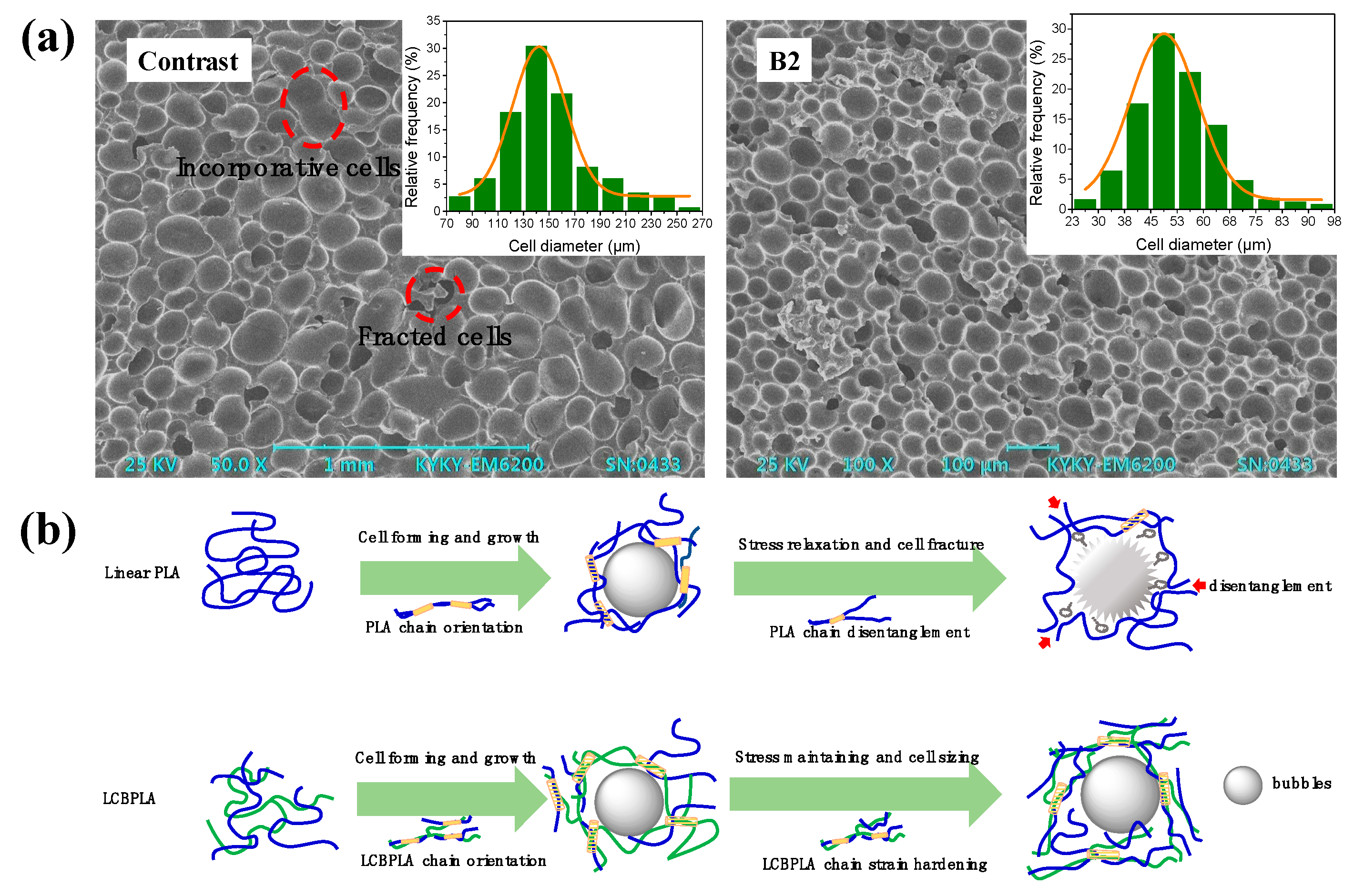 Polymers 10 00796 g013