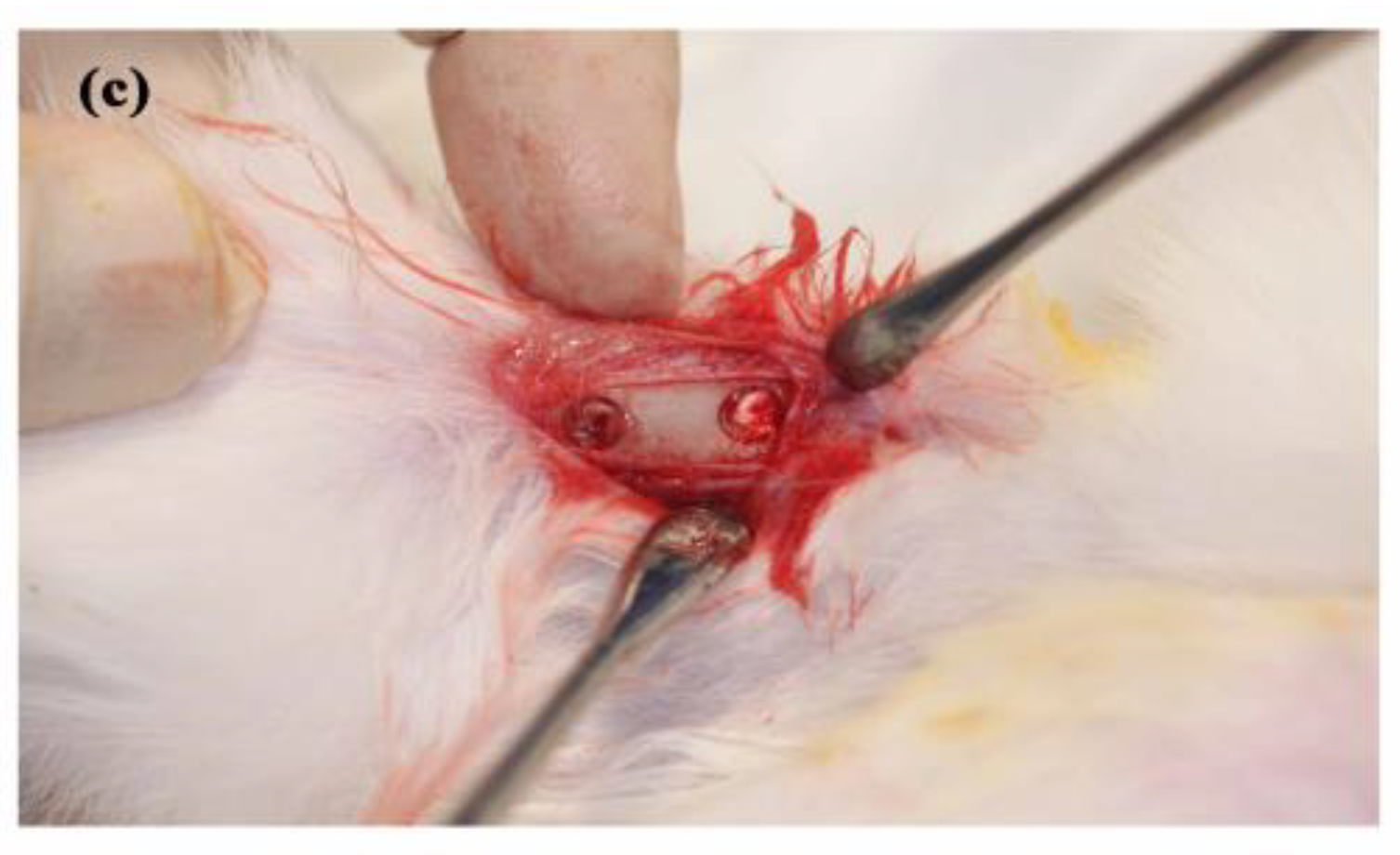 Polymers 10 00804 g001b Polymers 10 00804 g001b