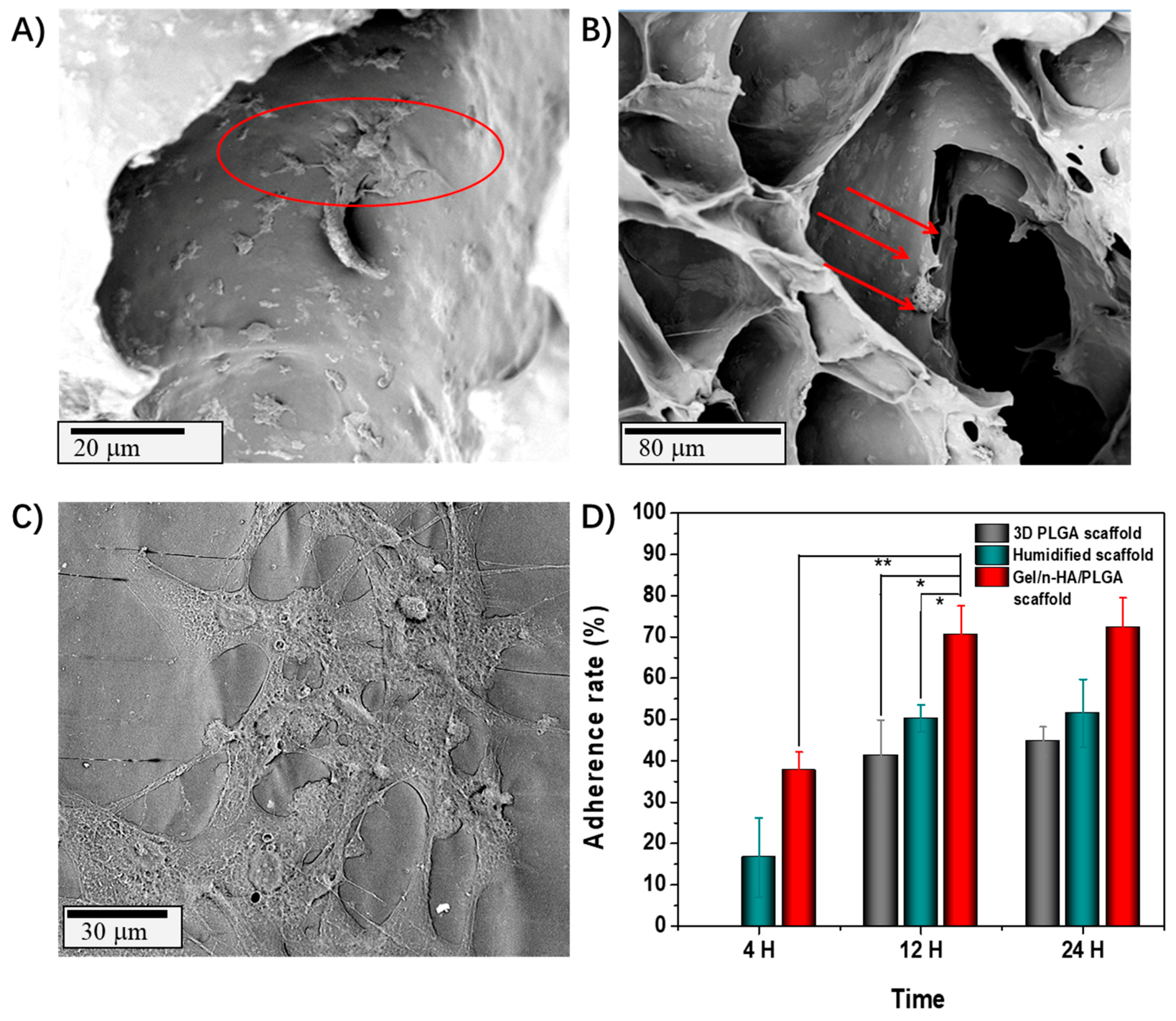 Polymers 10 00807 g008 Polymers 10 00807 g008