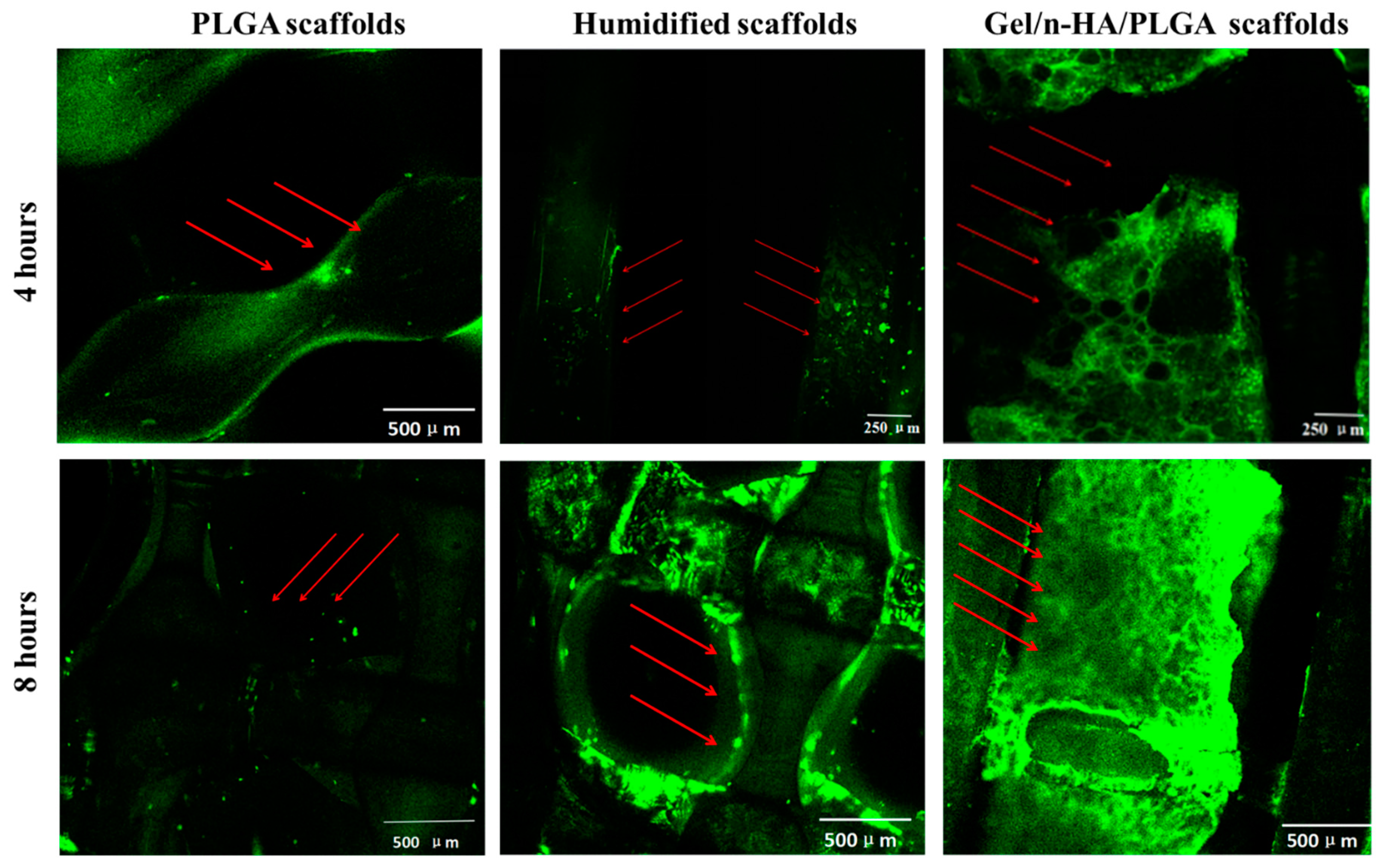 Polymers 10 00807 g009 Polymers 10 00807 g009