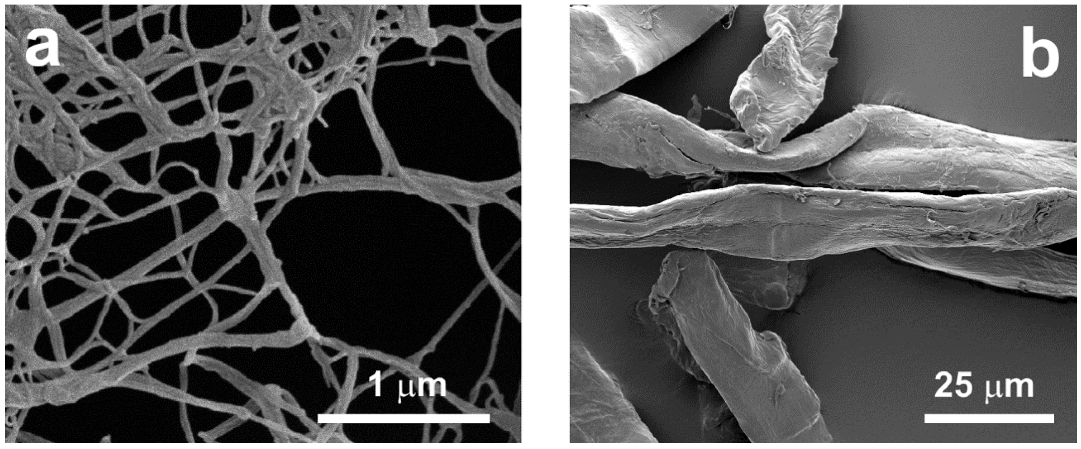 Polymers 10 00813 g001 Polymers 10 00813 g001