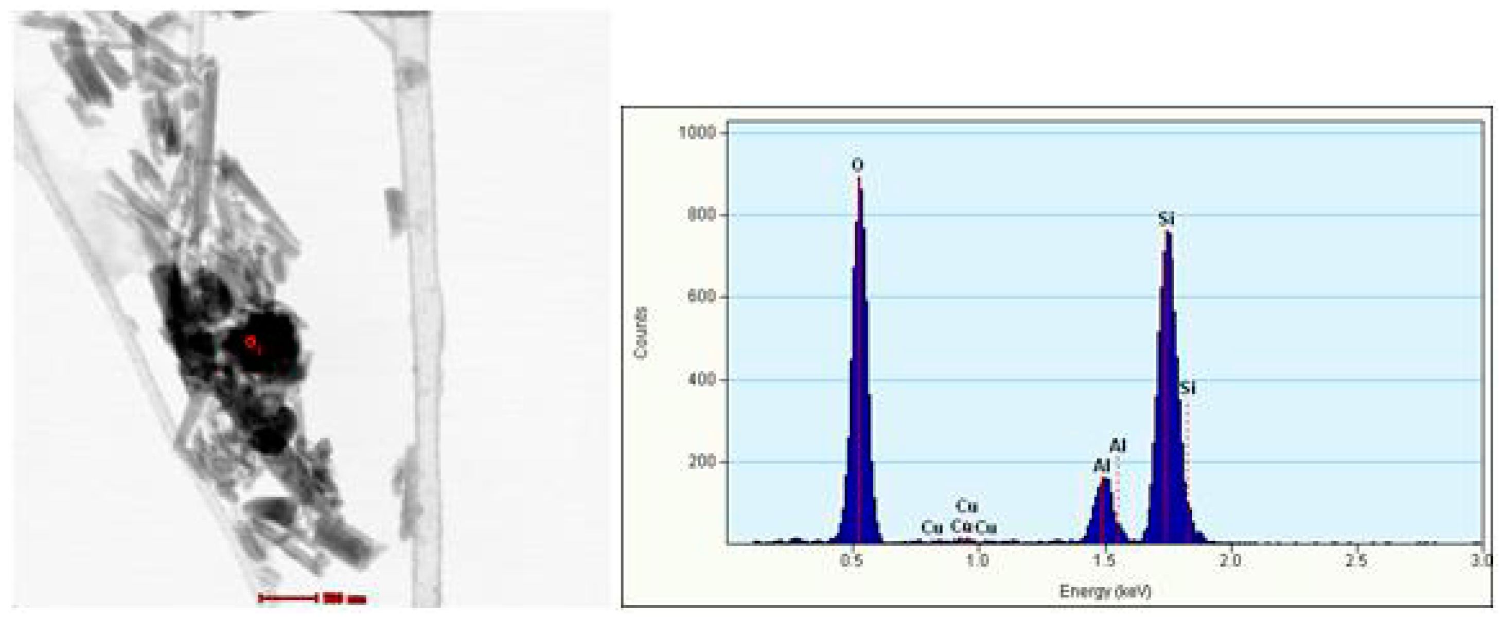 Polymers 10 00816 g010