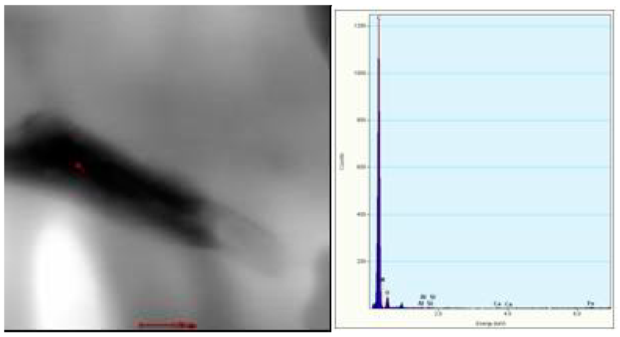 Polymers 10 00816 g011