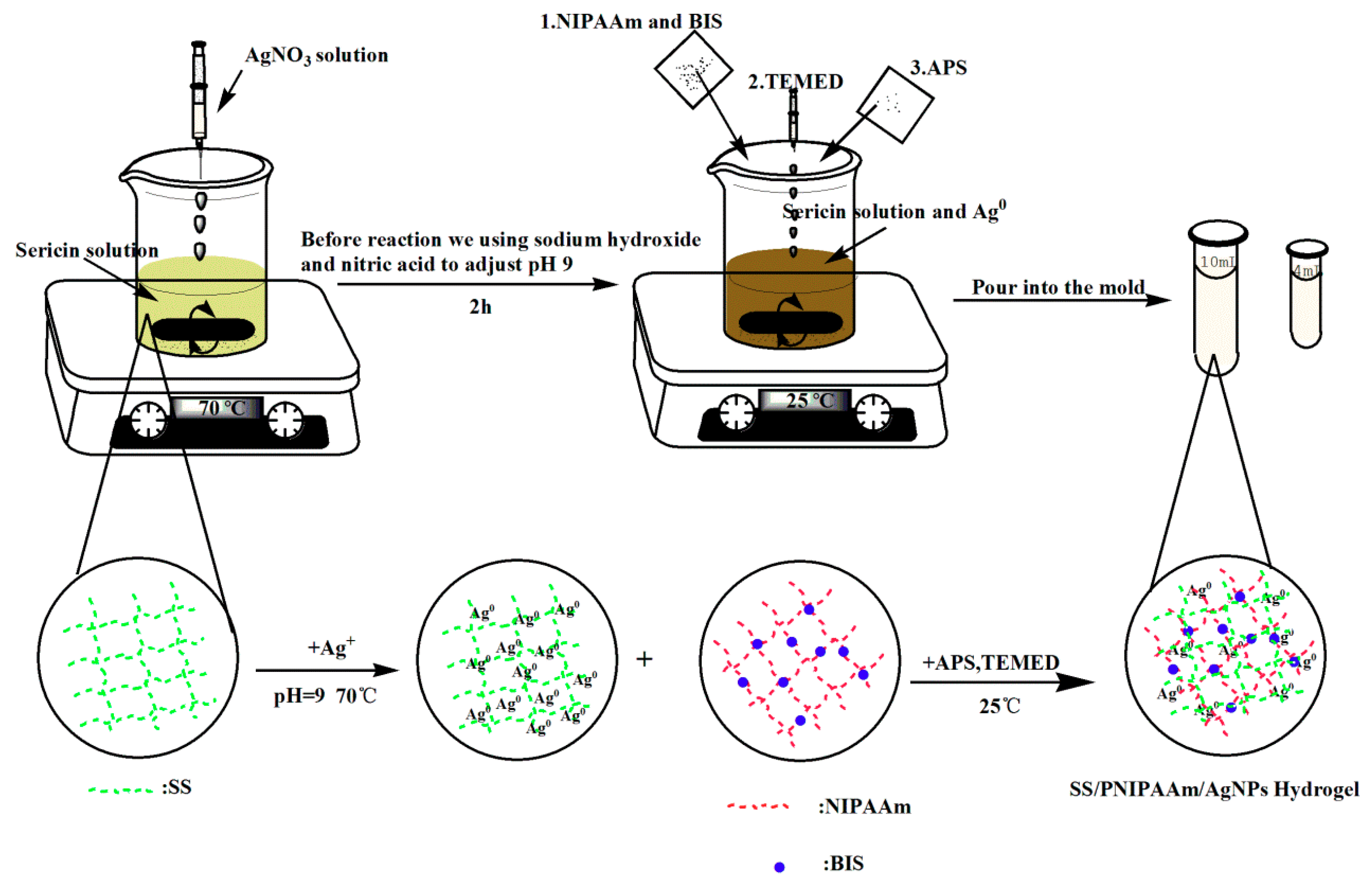 Polymers 10 00818 g001
