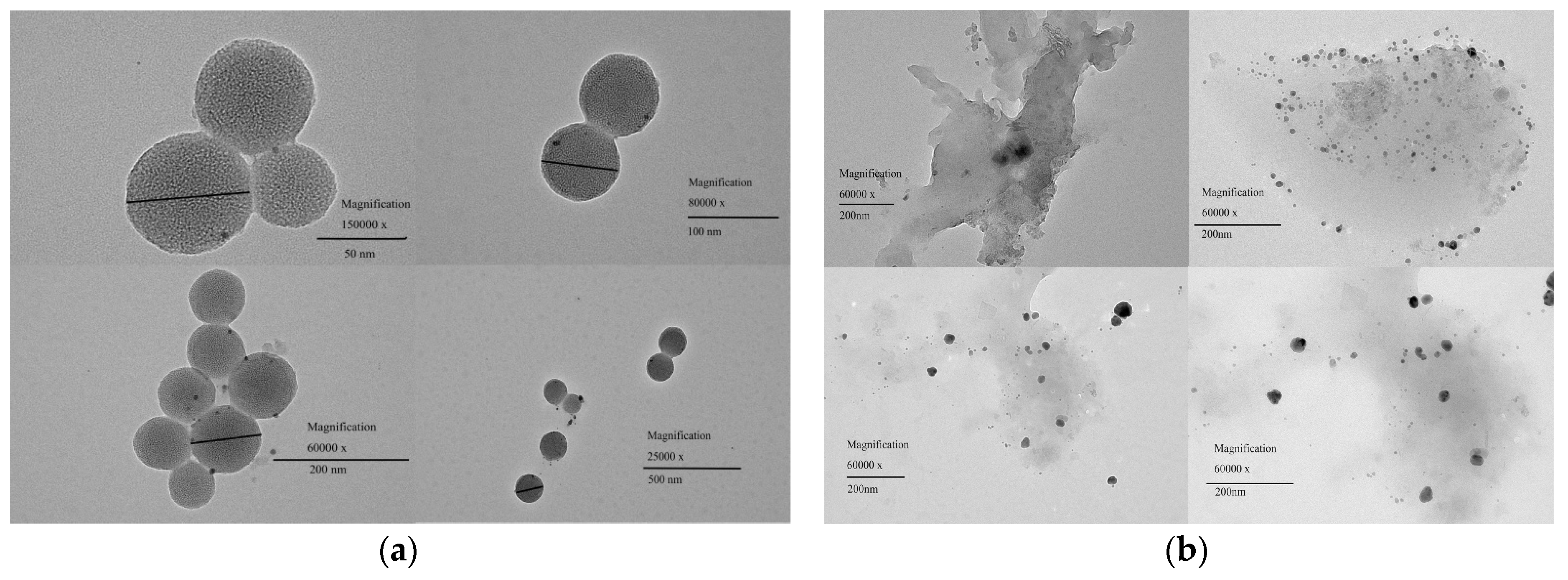 Polymers 10 00818 g005