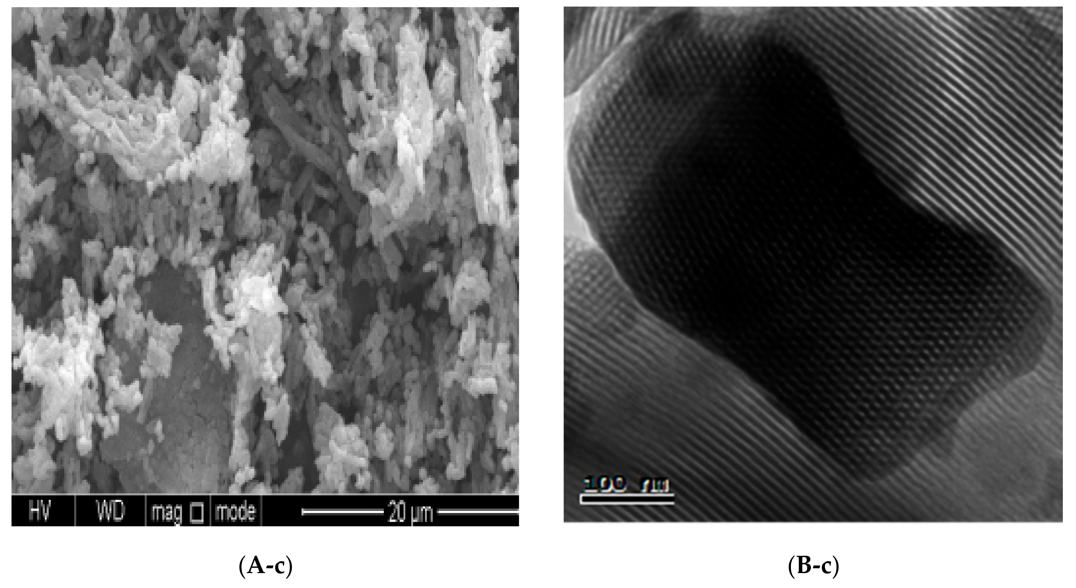 Polymers 10 00819 g002b