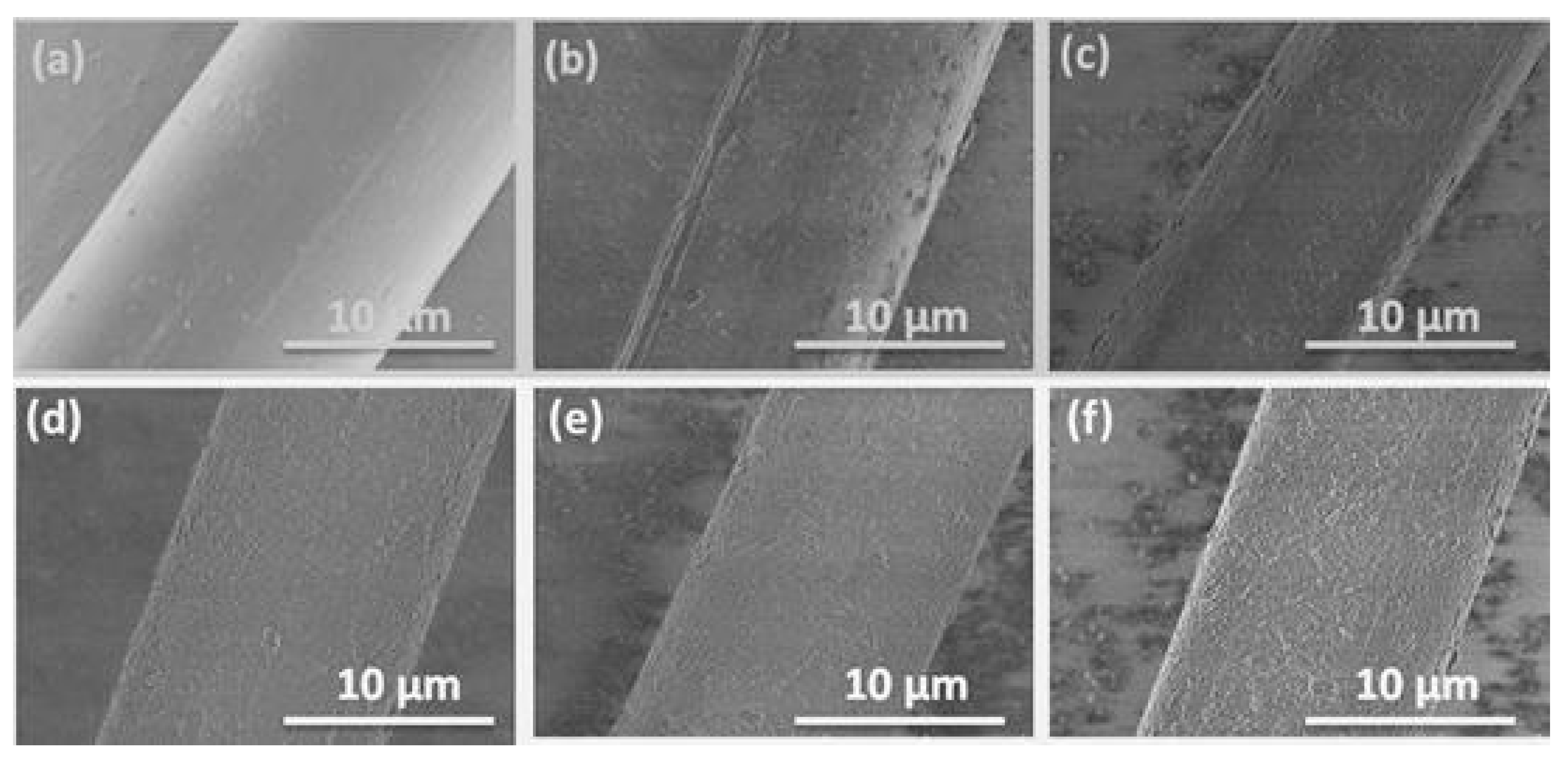 Polymers 10 00820 g008