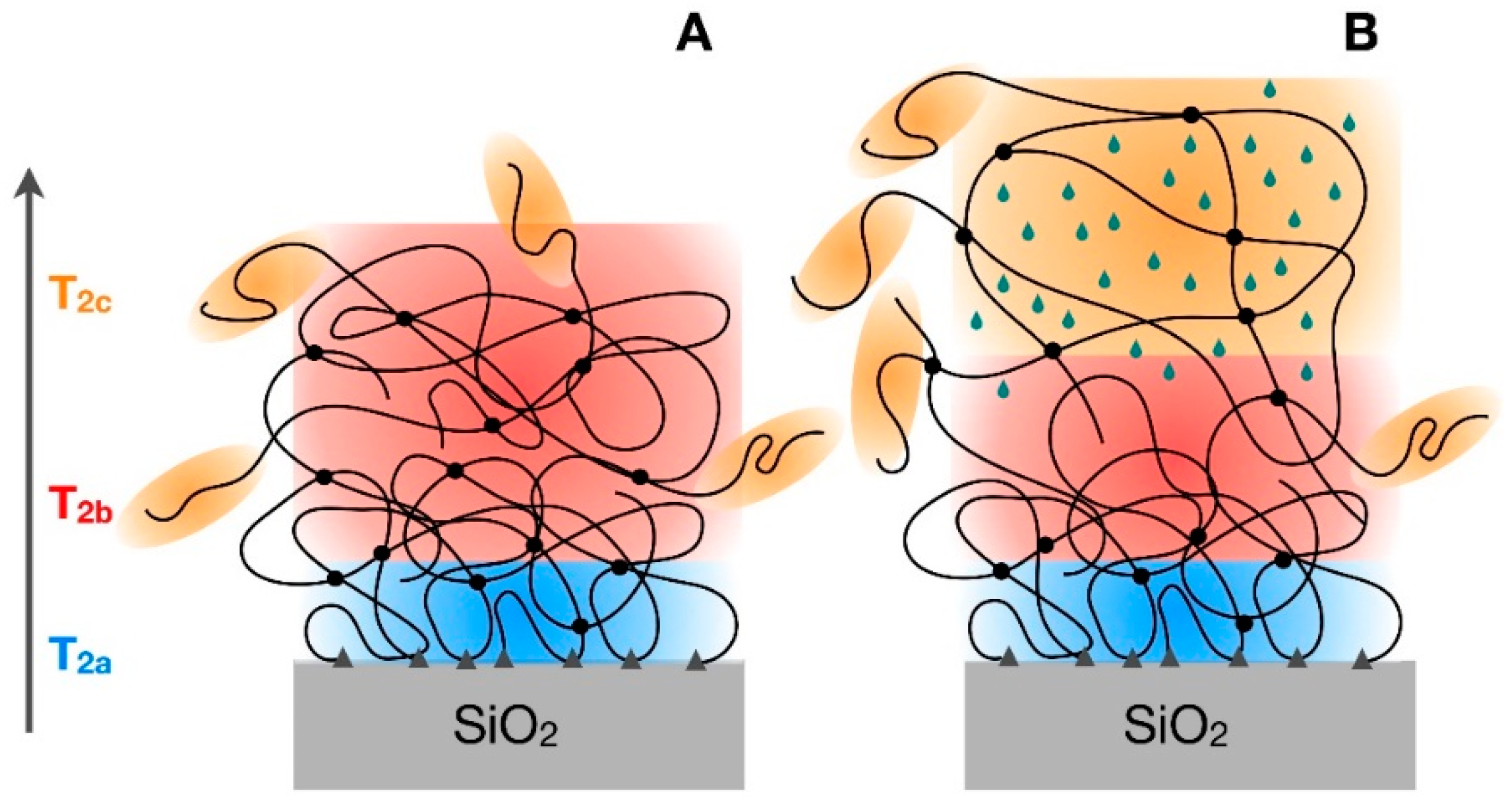 Polymers 10 00822 g003