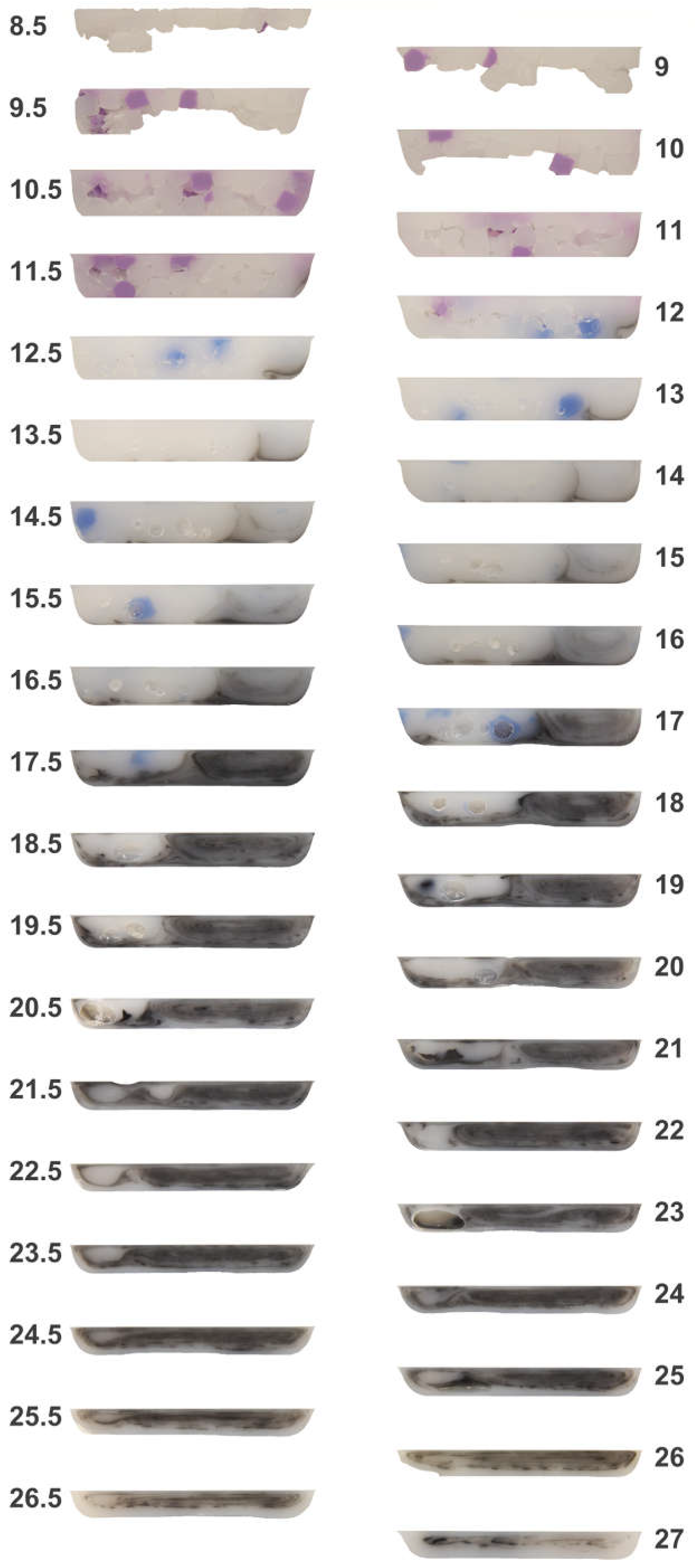 Polymers 10 00823 g005 550