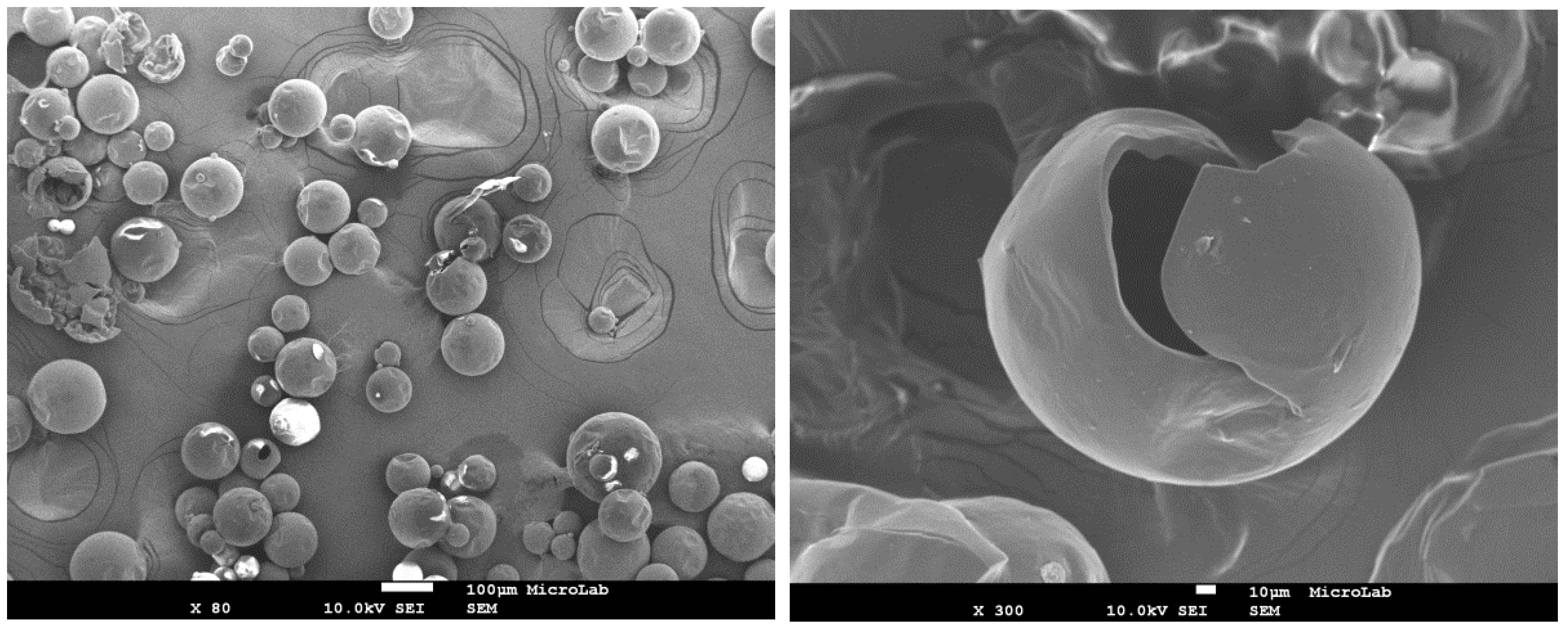 Polymers 10 00825 g002 550