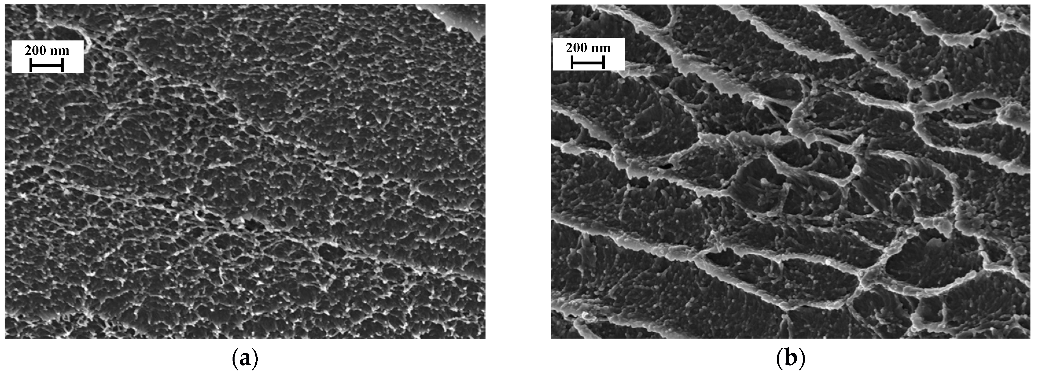 Polymers 10 00828 g003