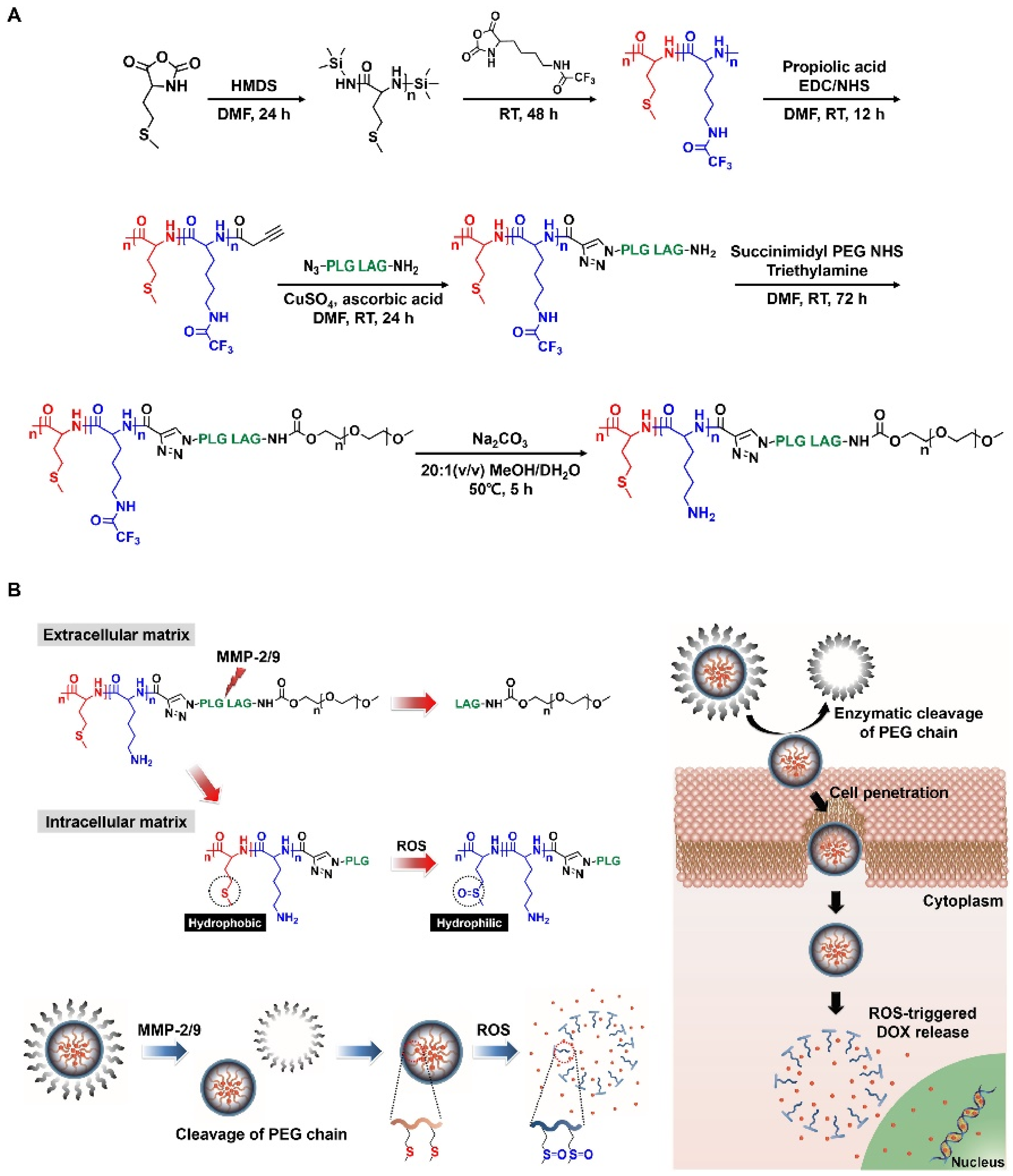 Polymers 10 00830 g006