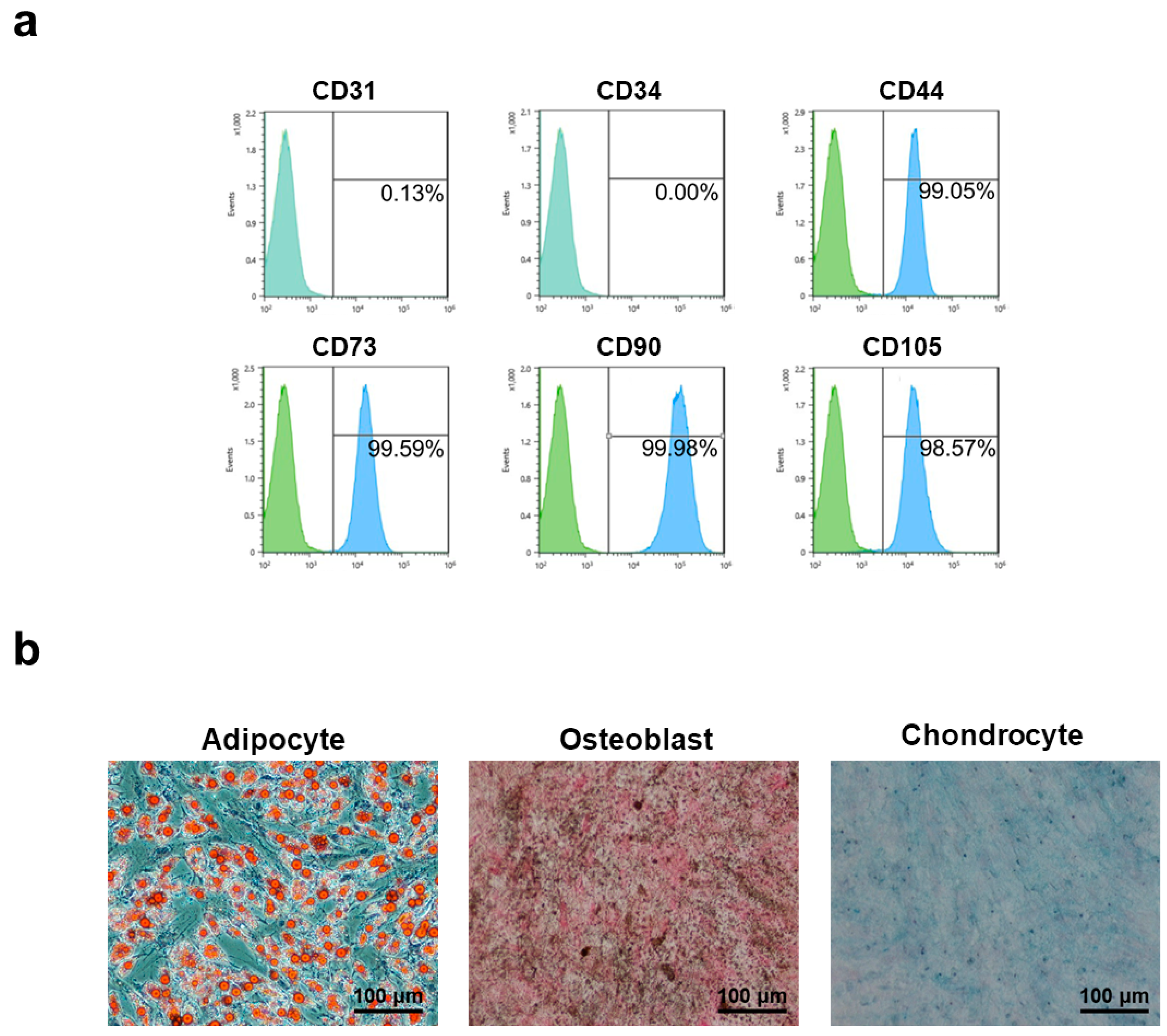 Polymers 10 00839 g002