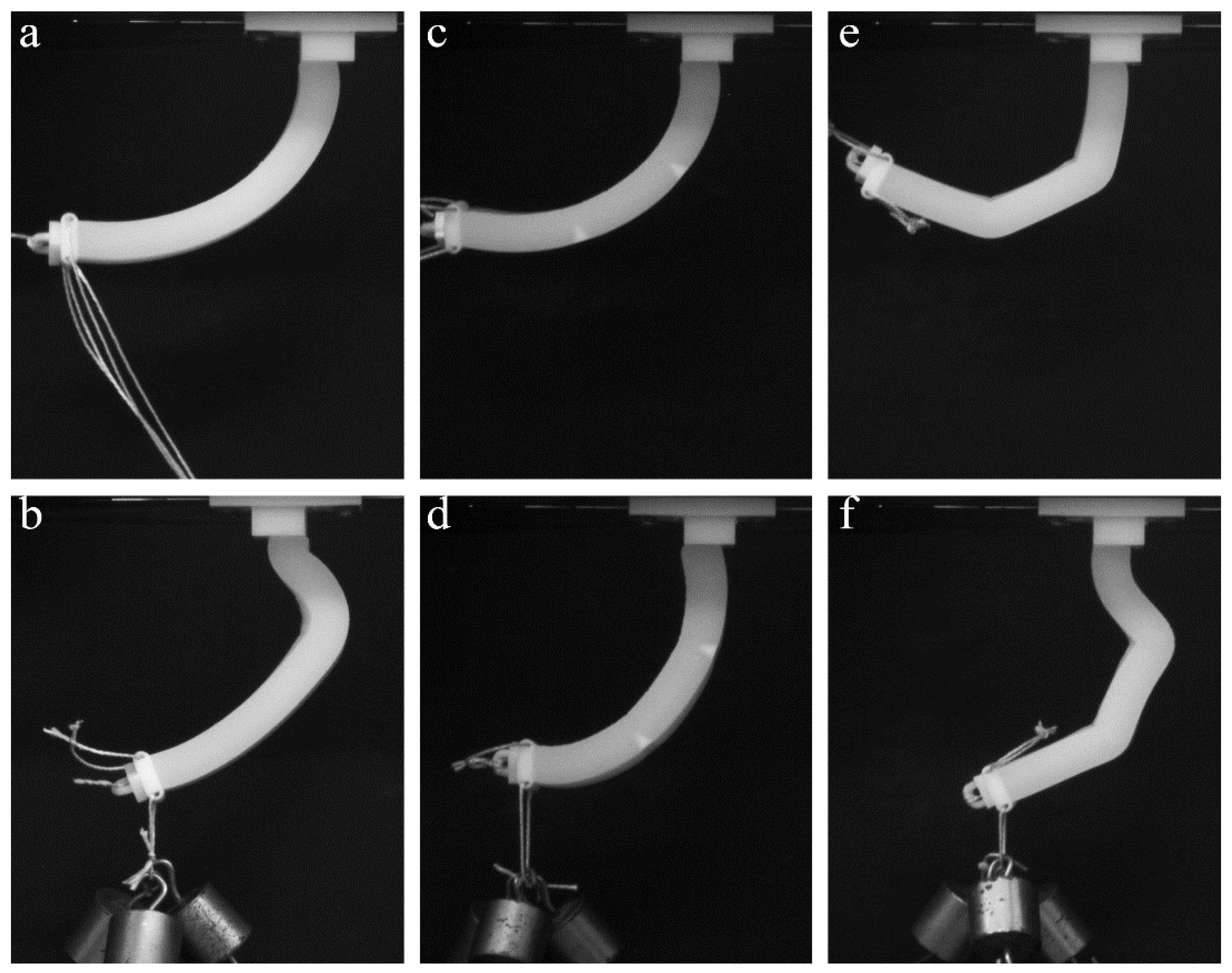 Polymers 10 00846 g008
