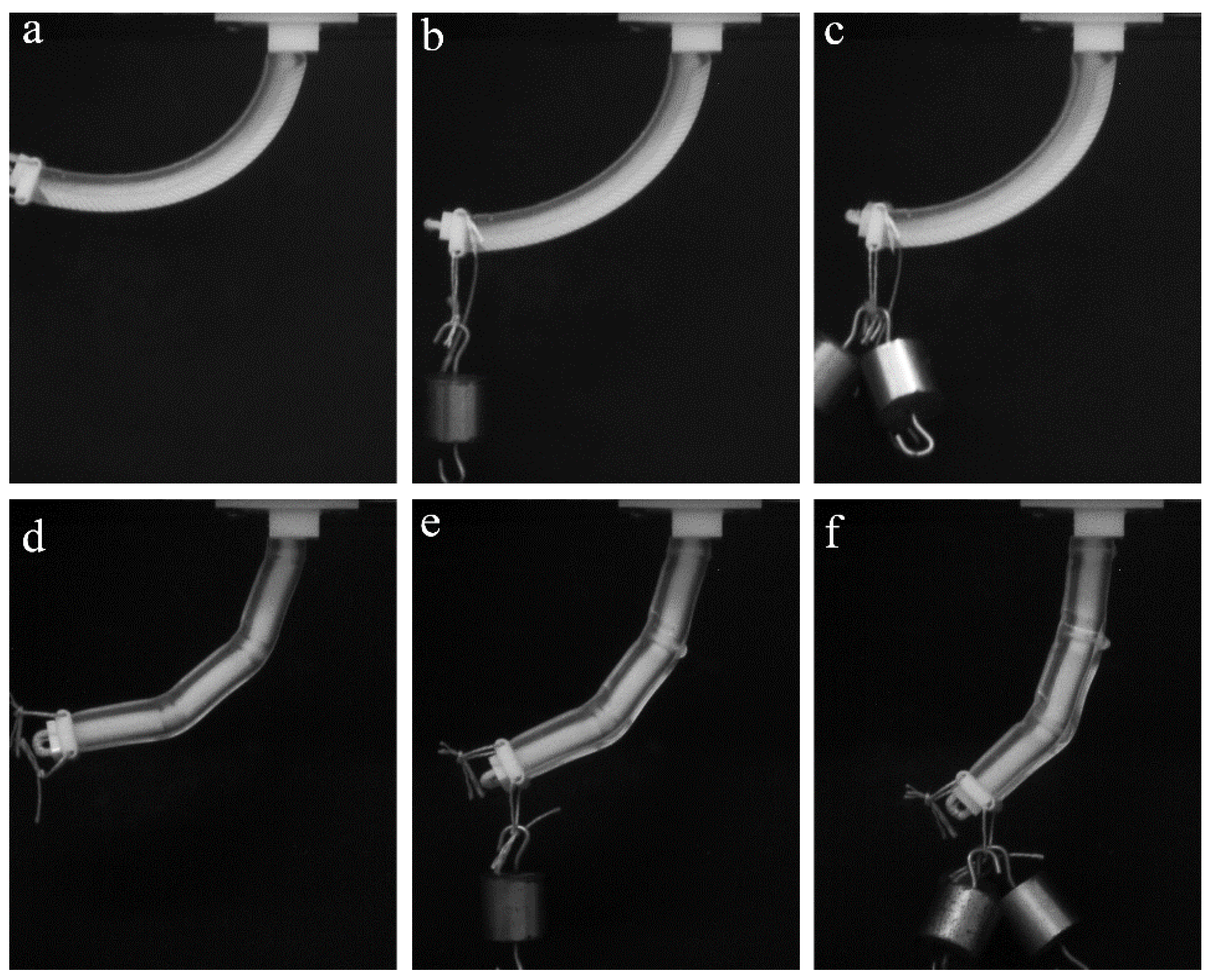 Polymers 10 00846 g009
