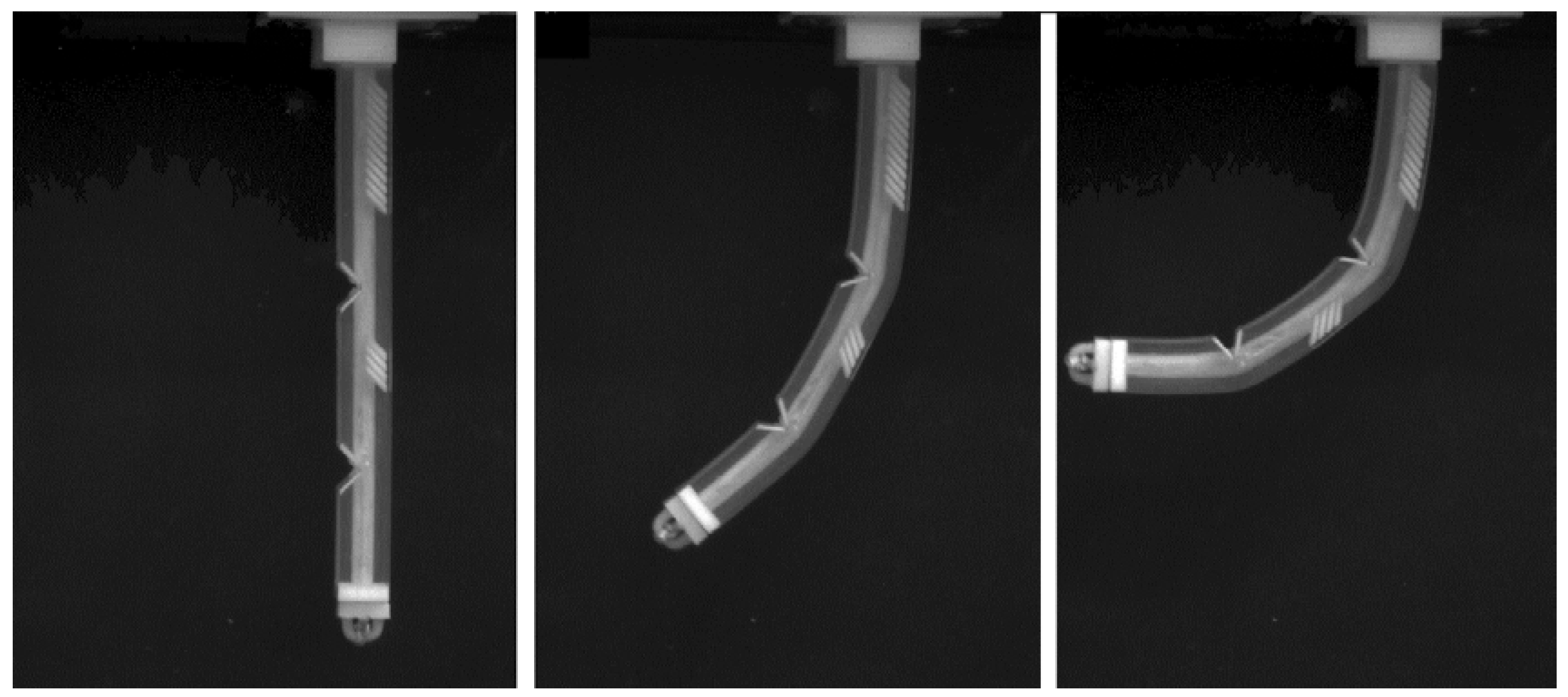 Polymers 10 00846 g011