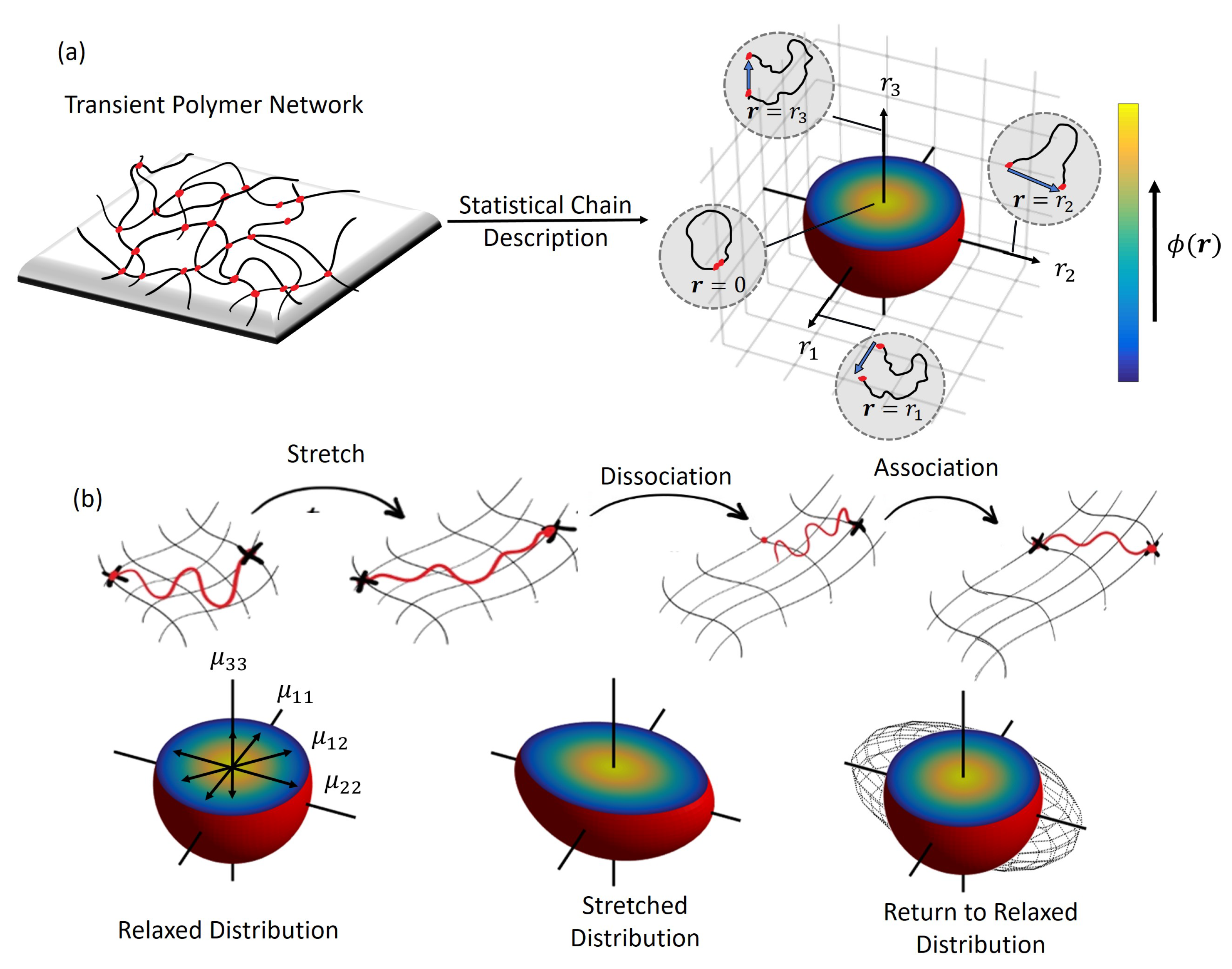 Polymers 10 00848 g001