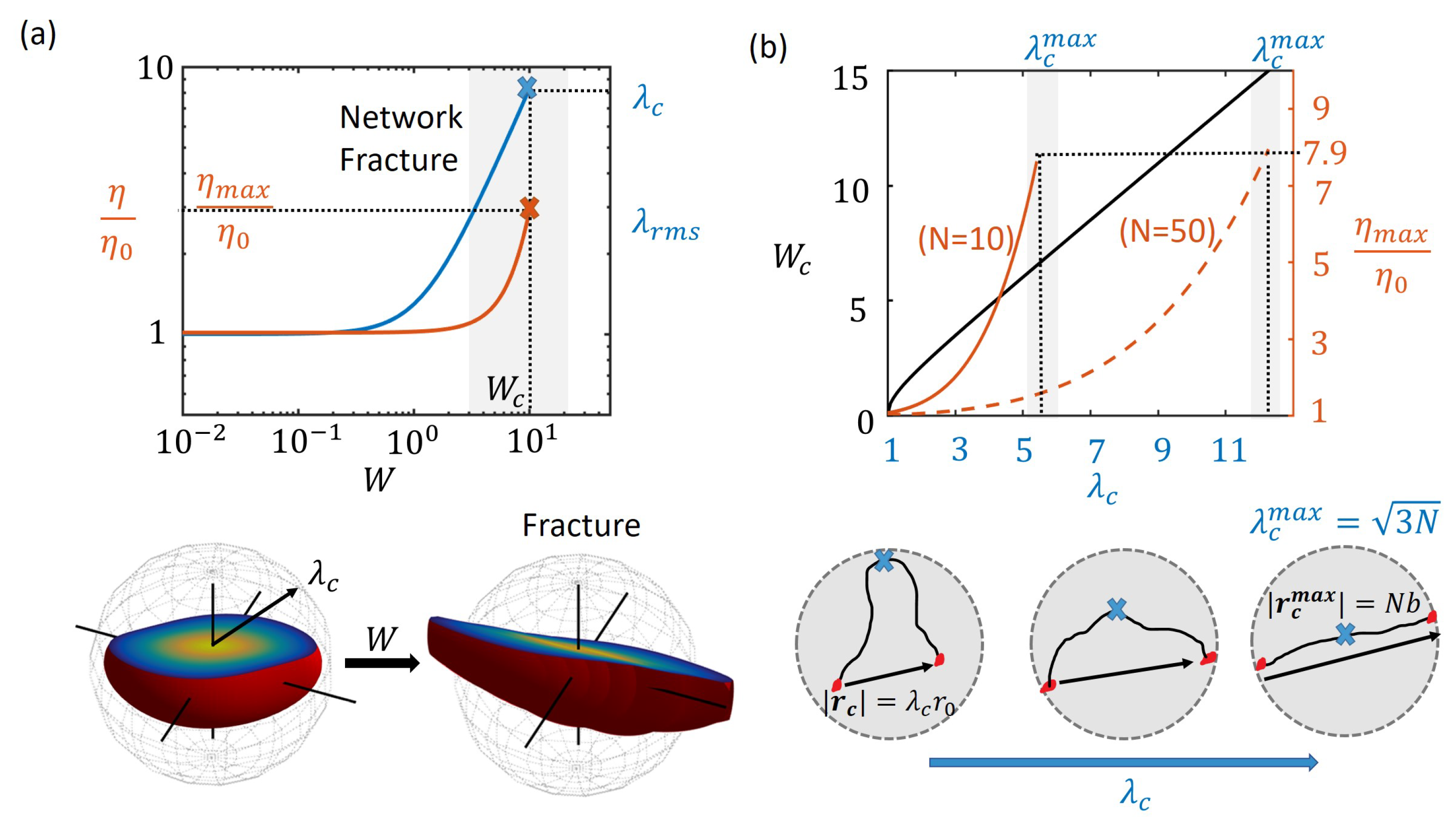 Polymers 10 00848 g004