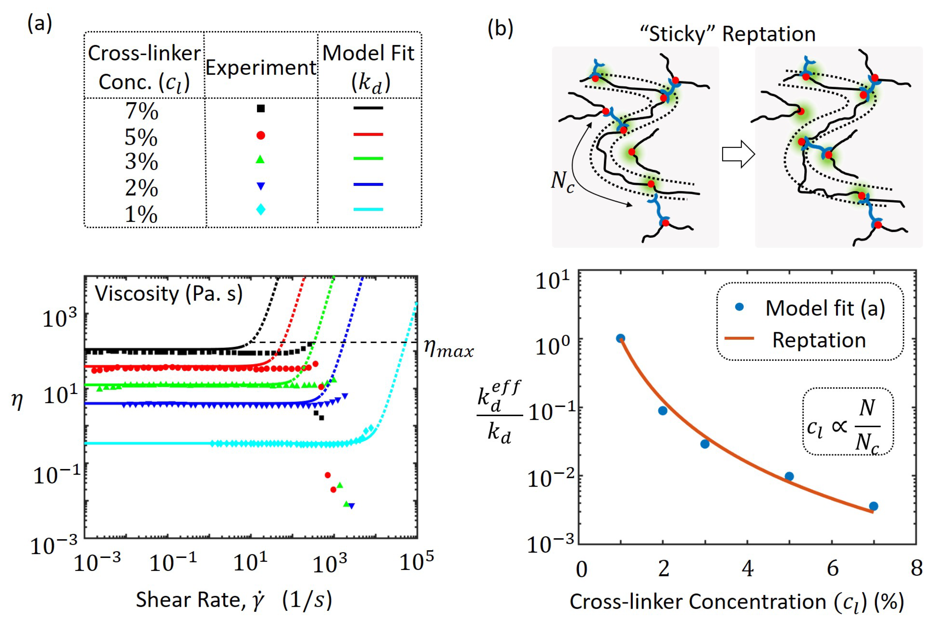 Polymers 10 00848 g005