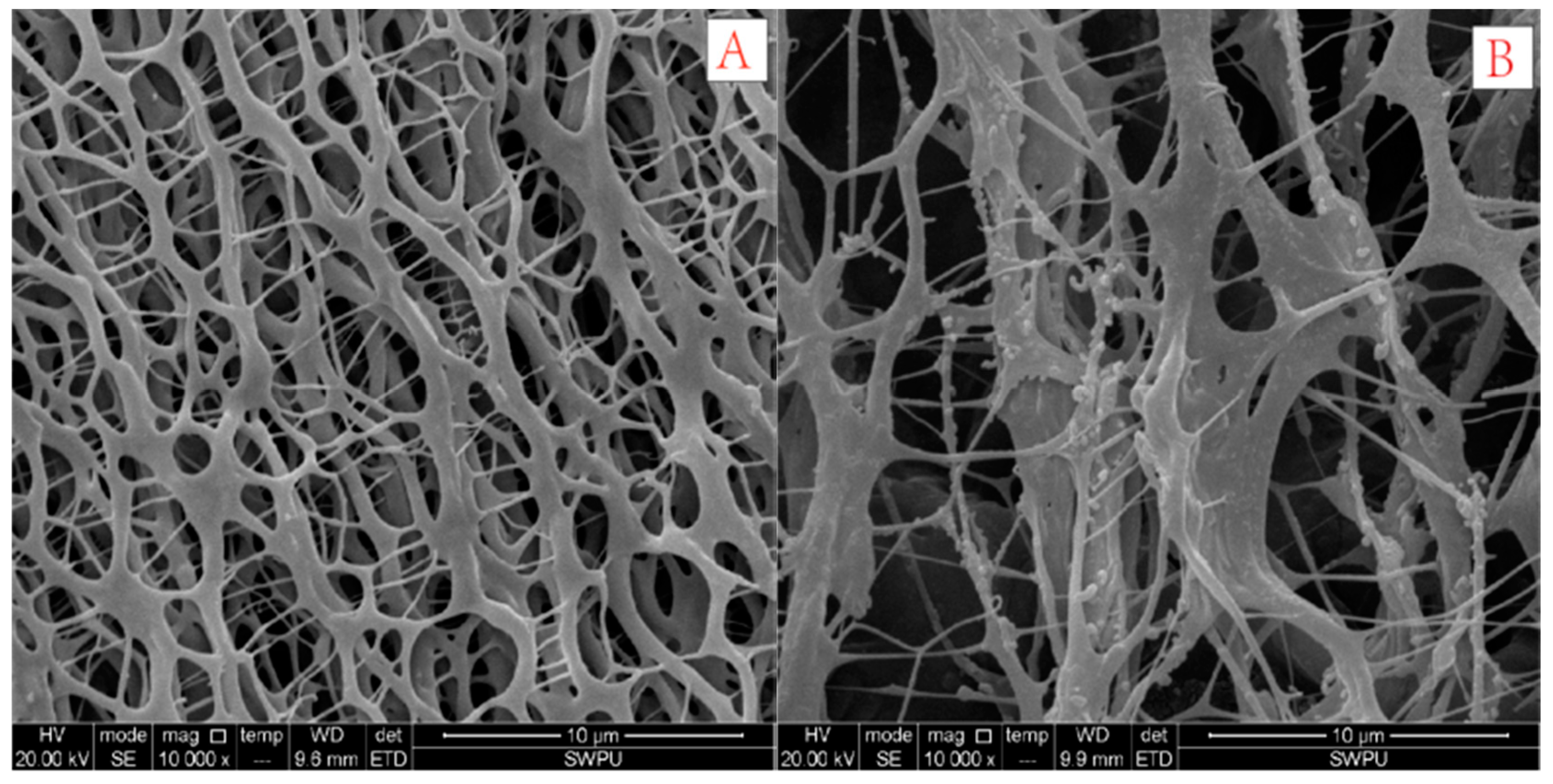 Polymers 10 00849 g017a Polymers 10 00849 g017a