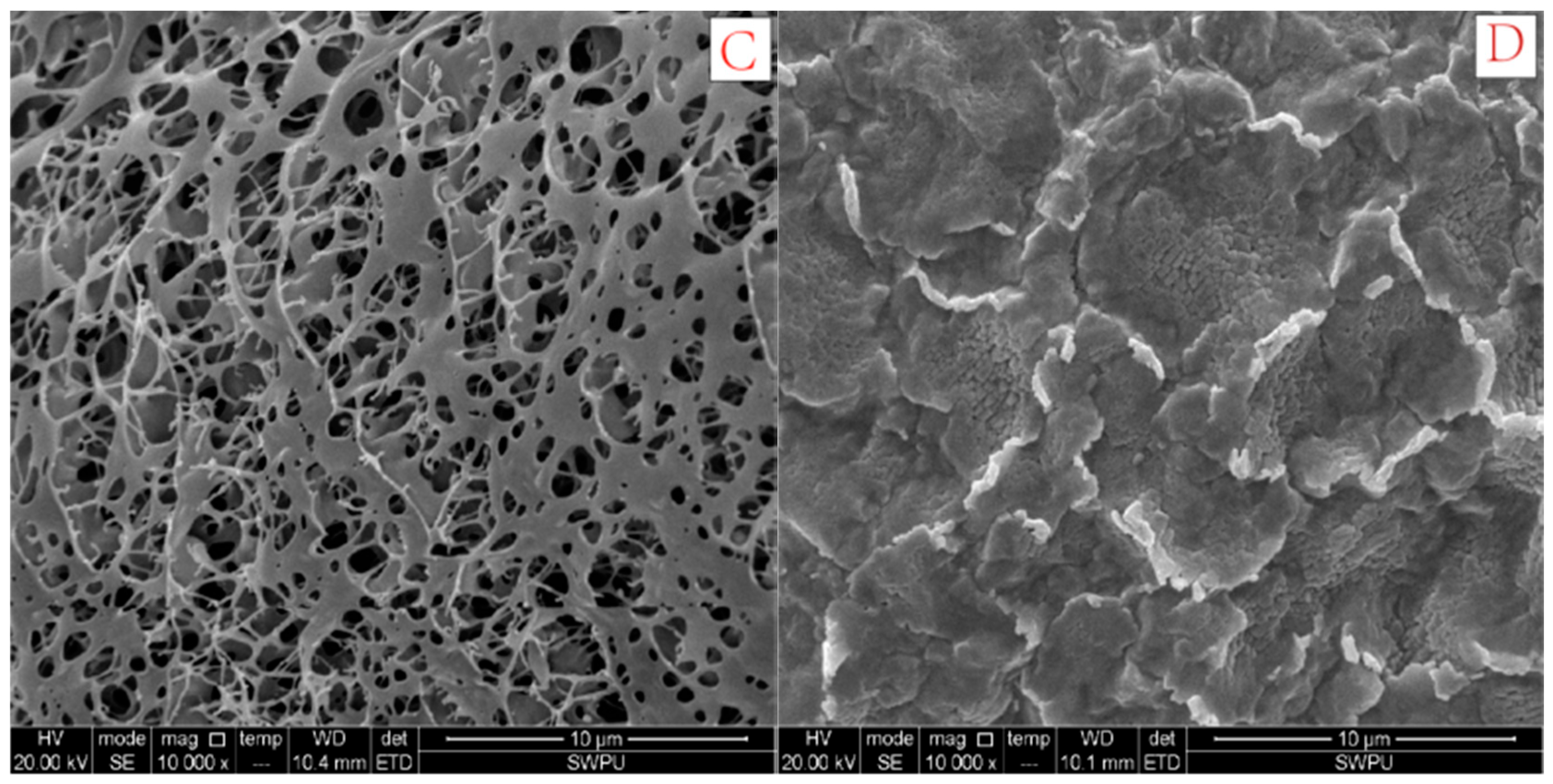Polymers 10 00849 g017b Polymers 10 00849 g017b