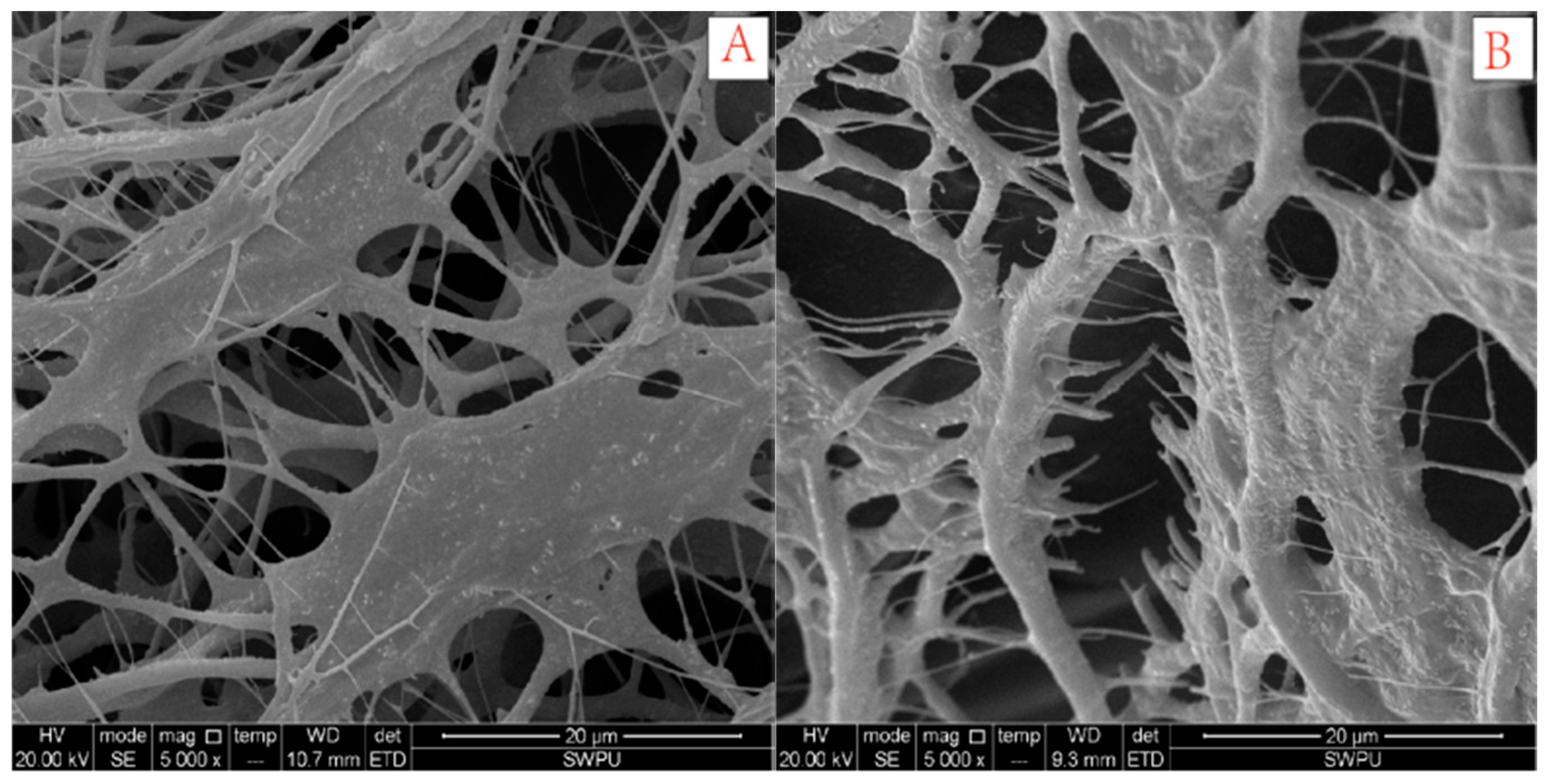 Polymers 10 00849 g018 Polymers 10 00849 g018