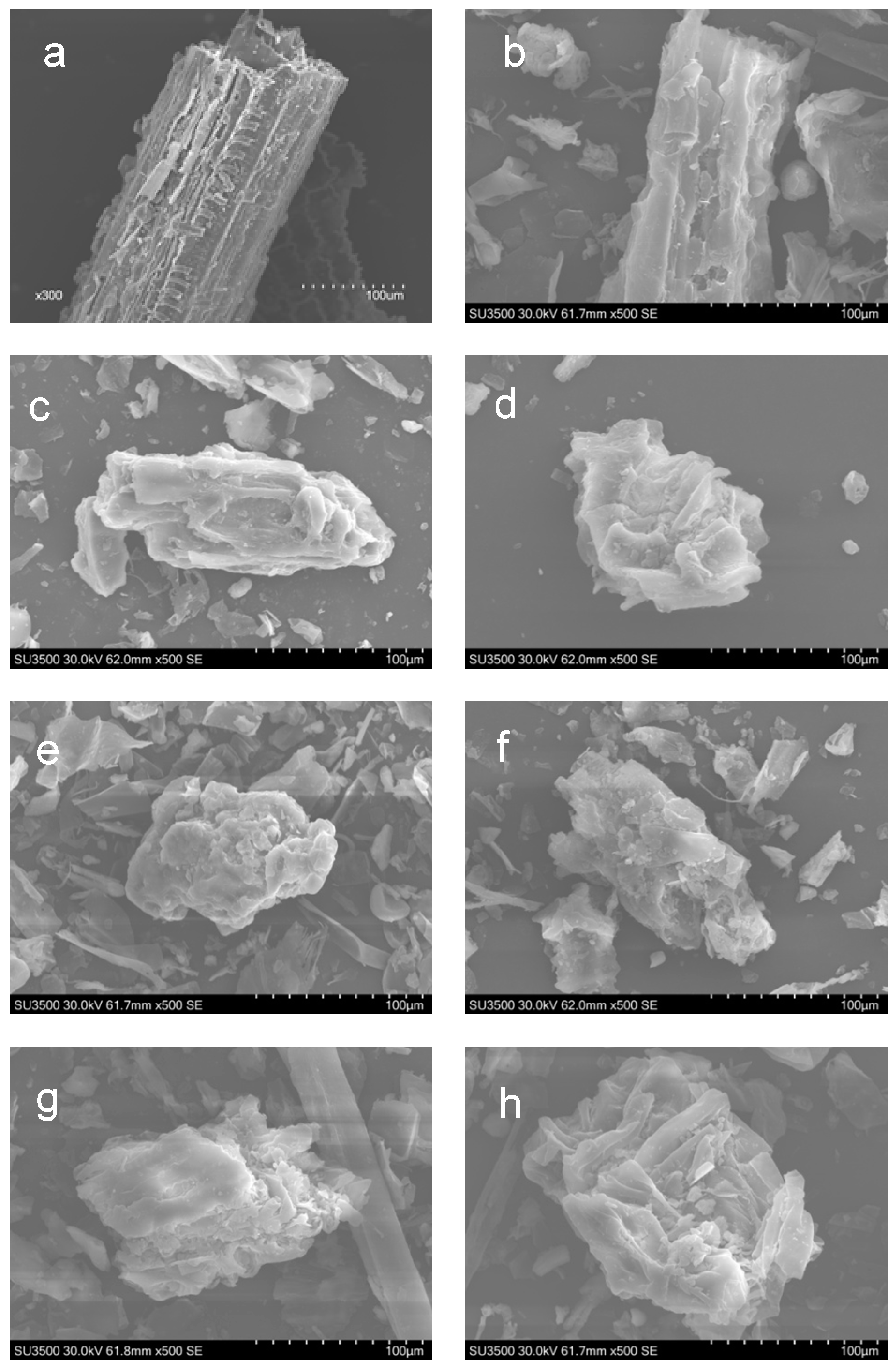 Polymers 10 00855 g001 550