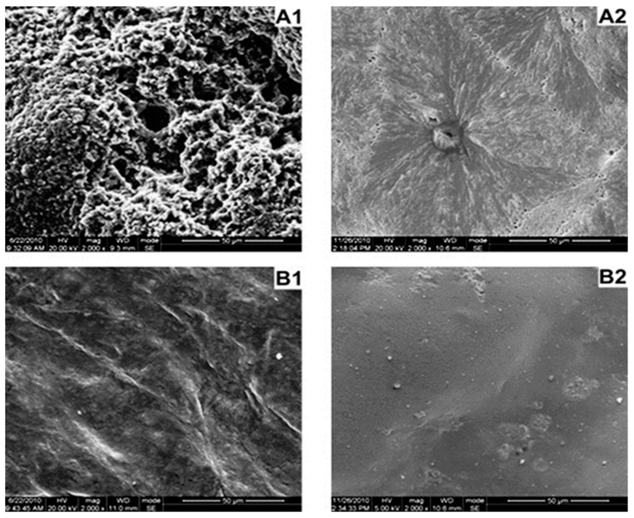 Polymers 10 00876 g006