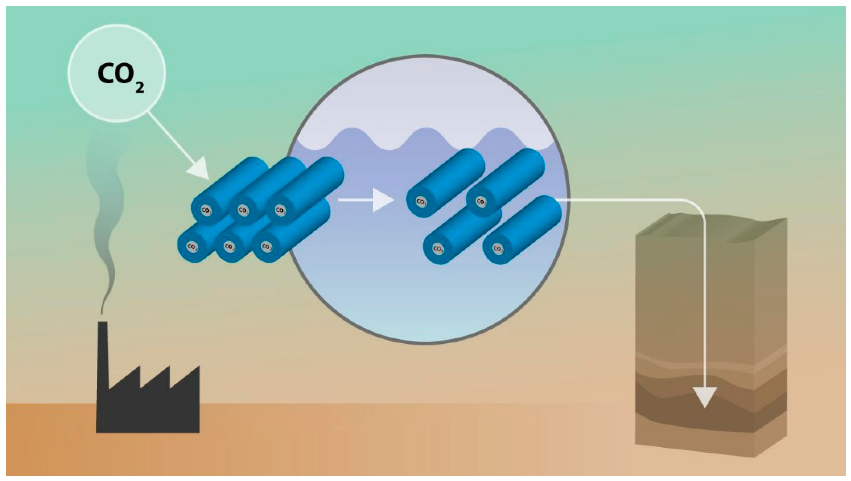 Polymers 10 00883 g001 Polymers 10 00883 g001