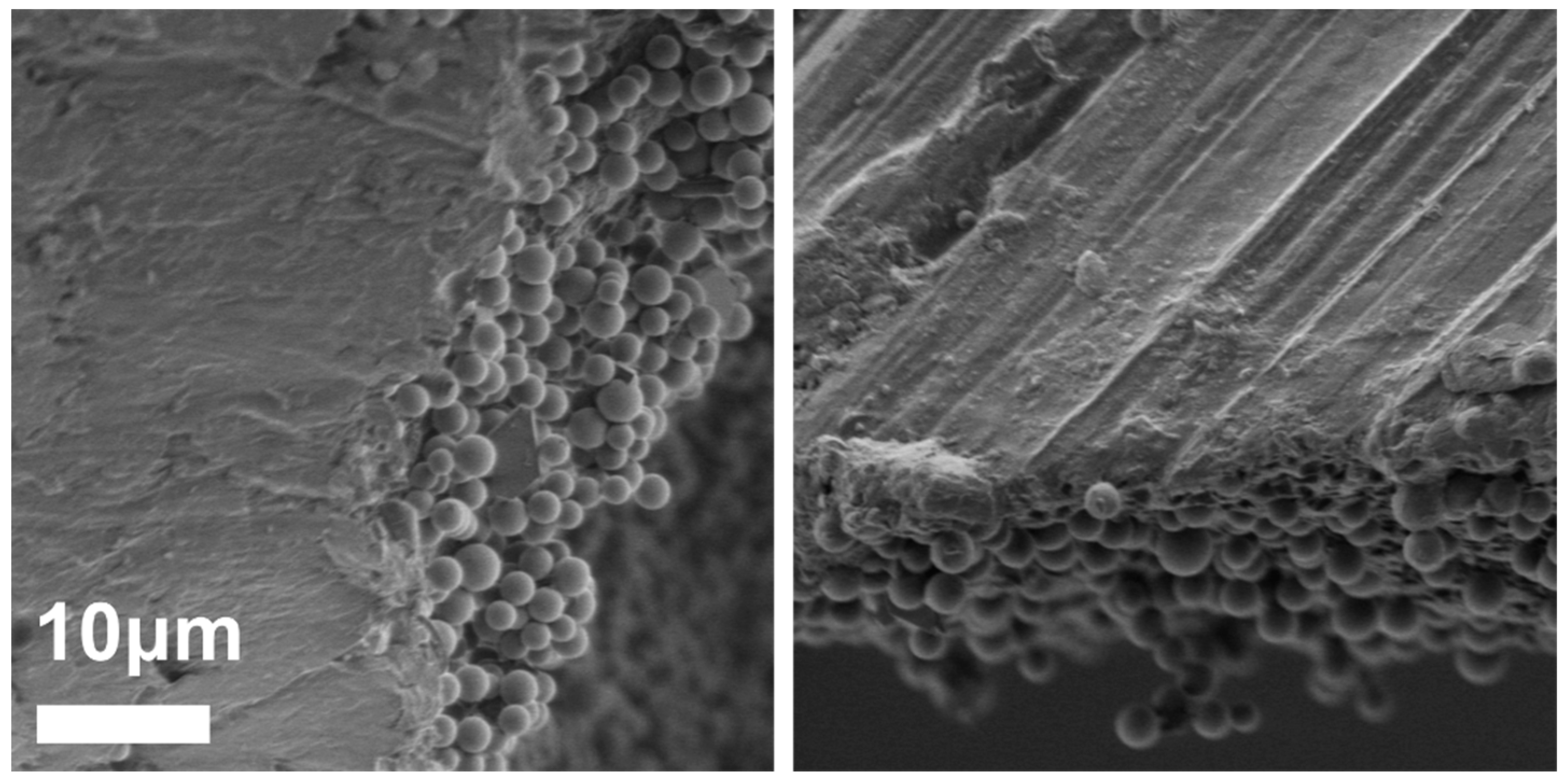 Polymers 10 00900 g004