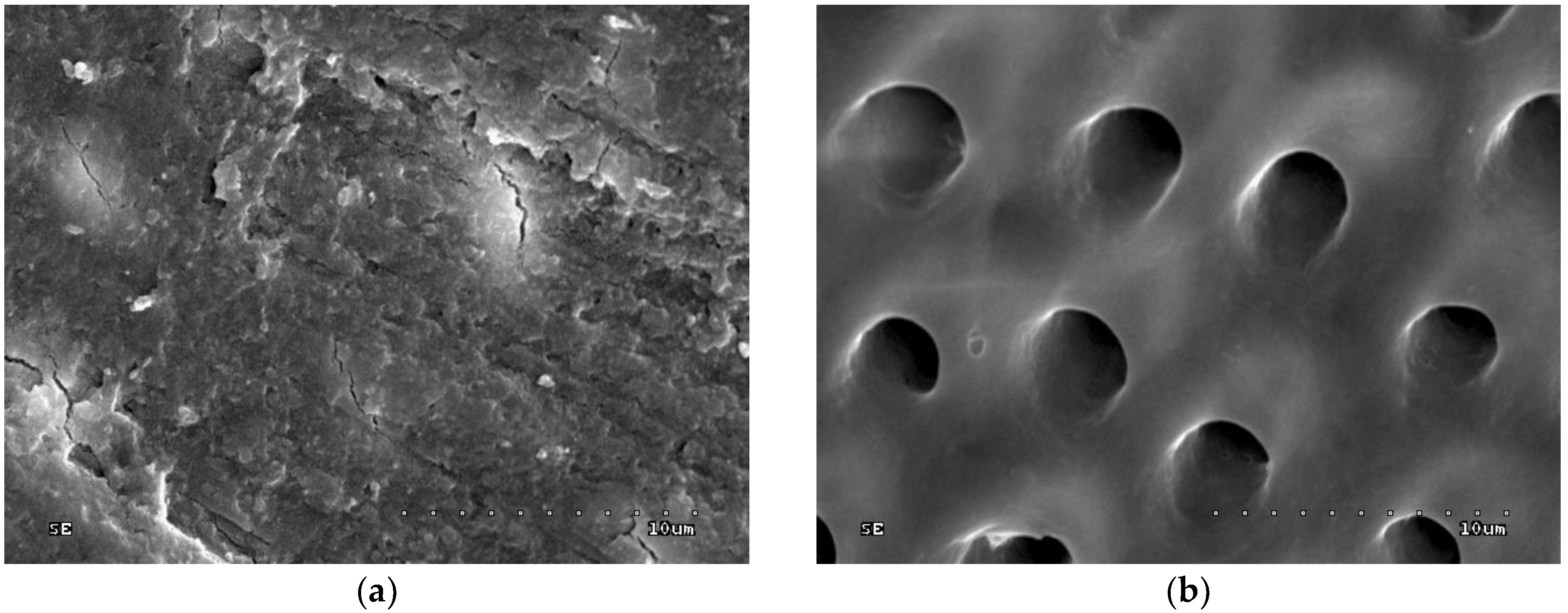 Polymers 10 00905 g001