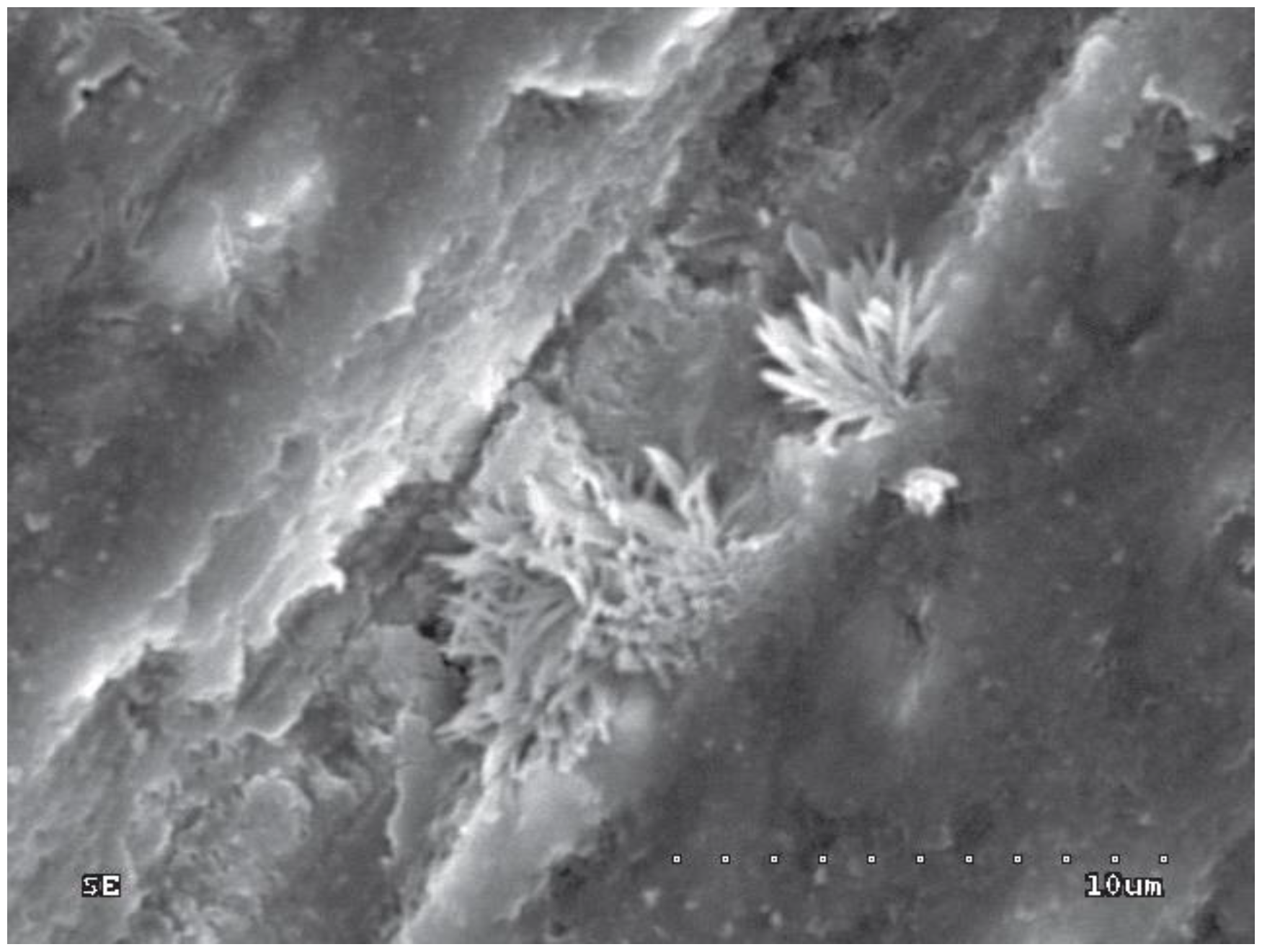 Polymers 10 00905 g004