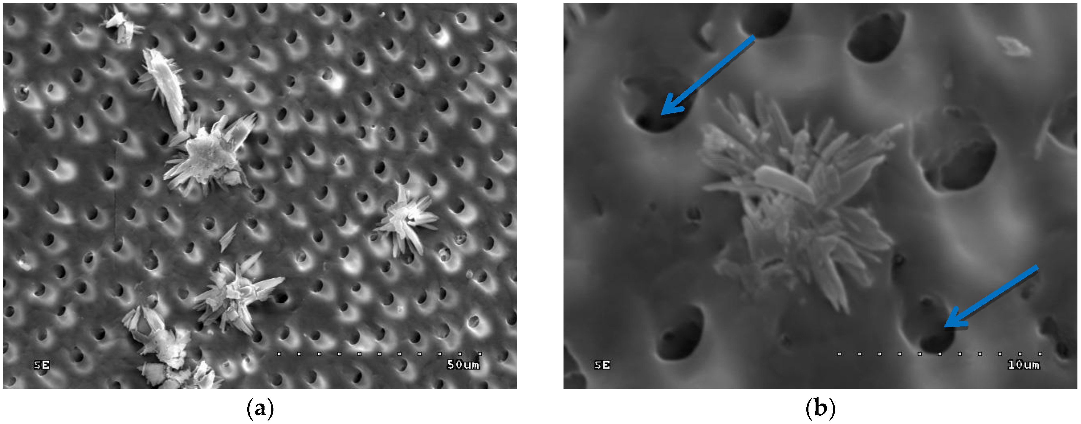 Polymers 10 00905 g009