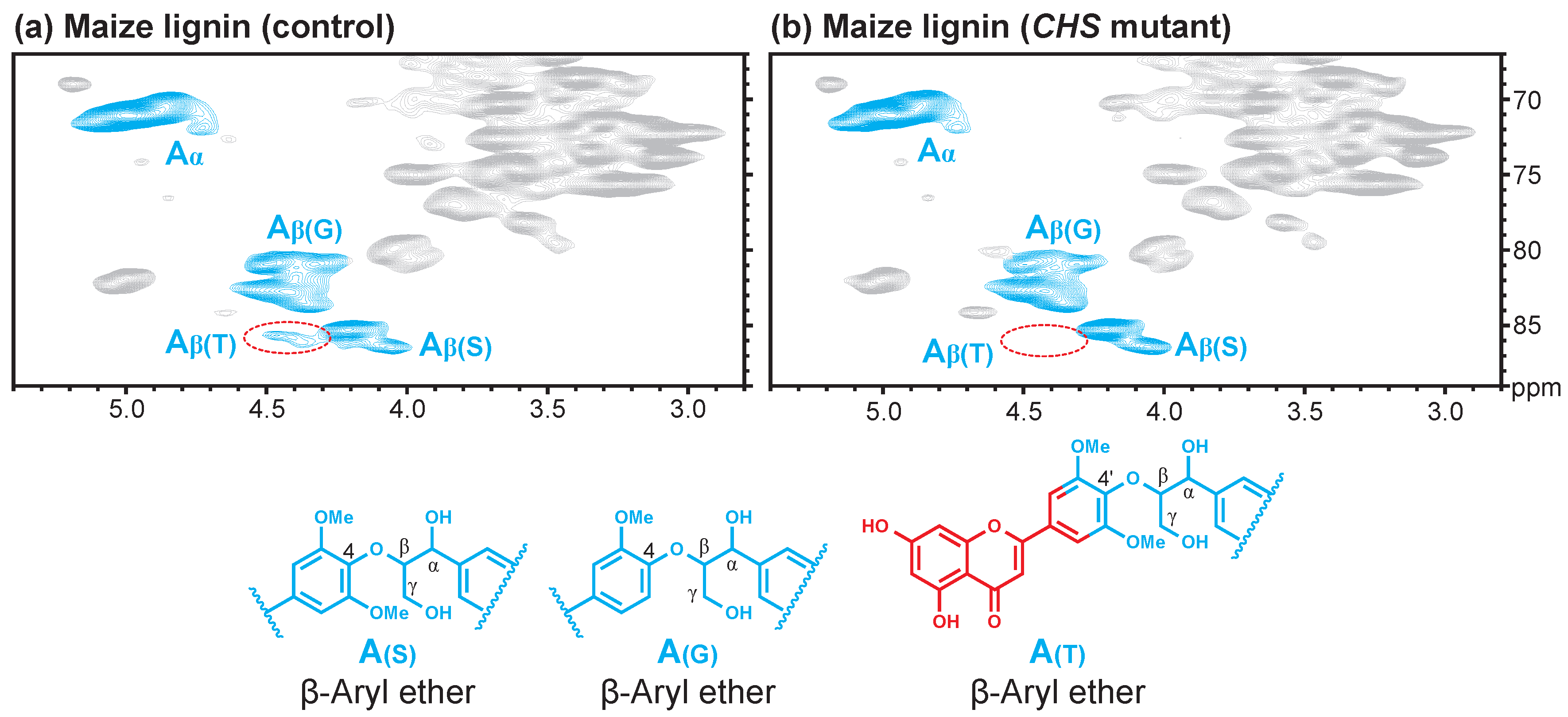 Polymers 10 00916 g002 Polymers 10 00916 g002