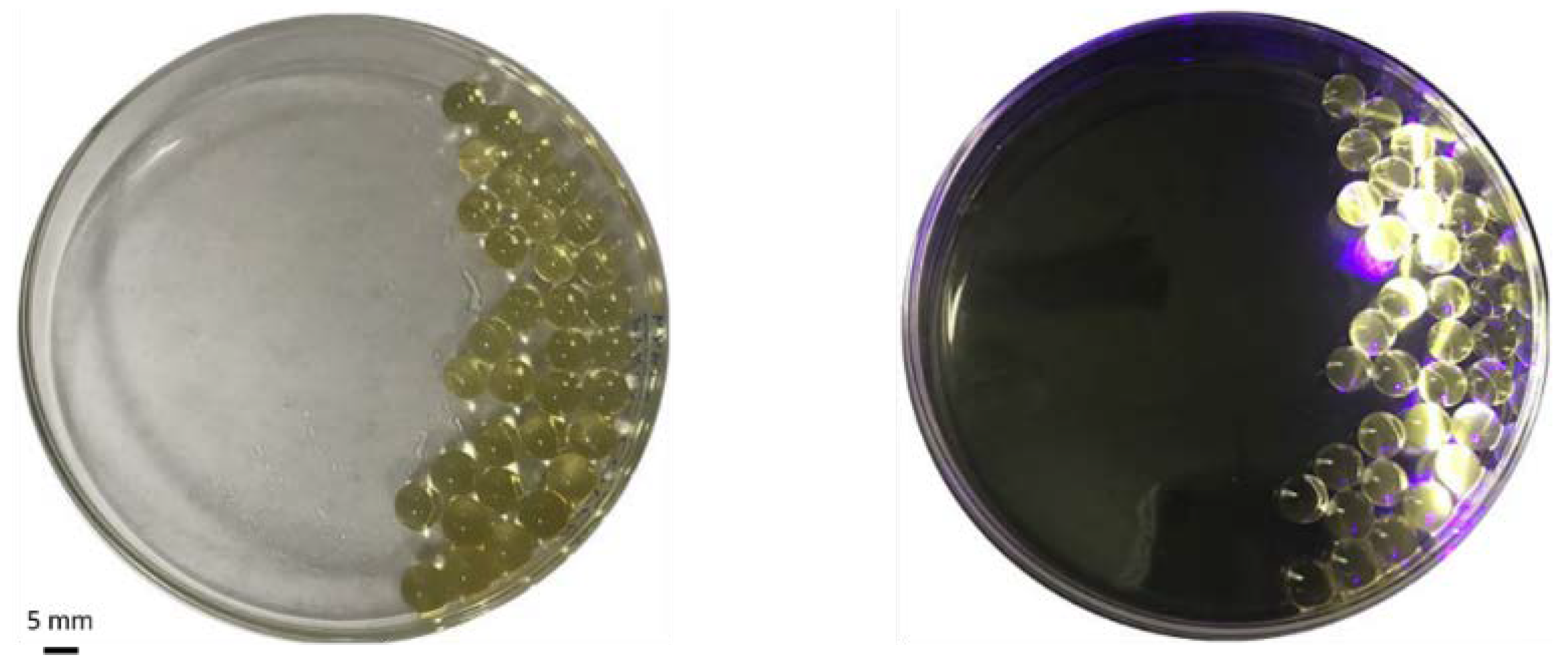 Polymers 10 00921 g005