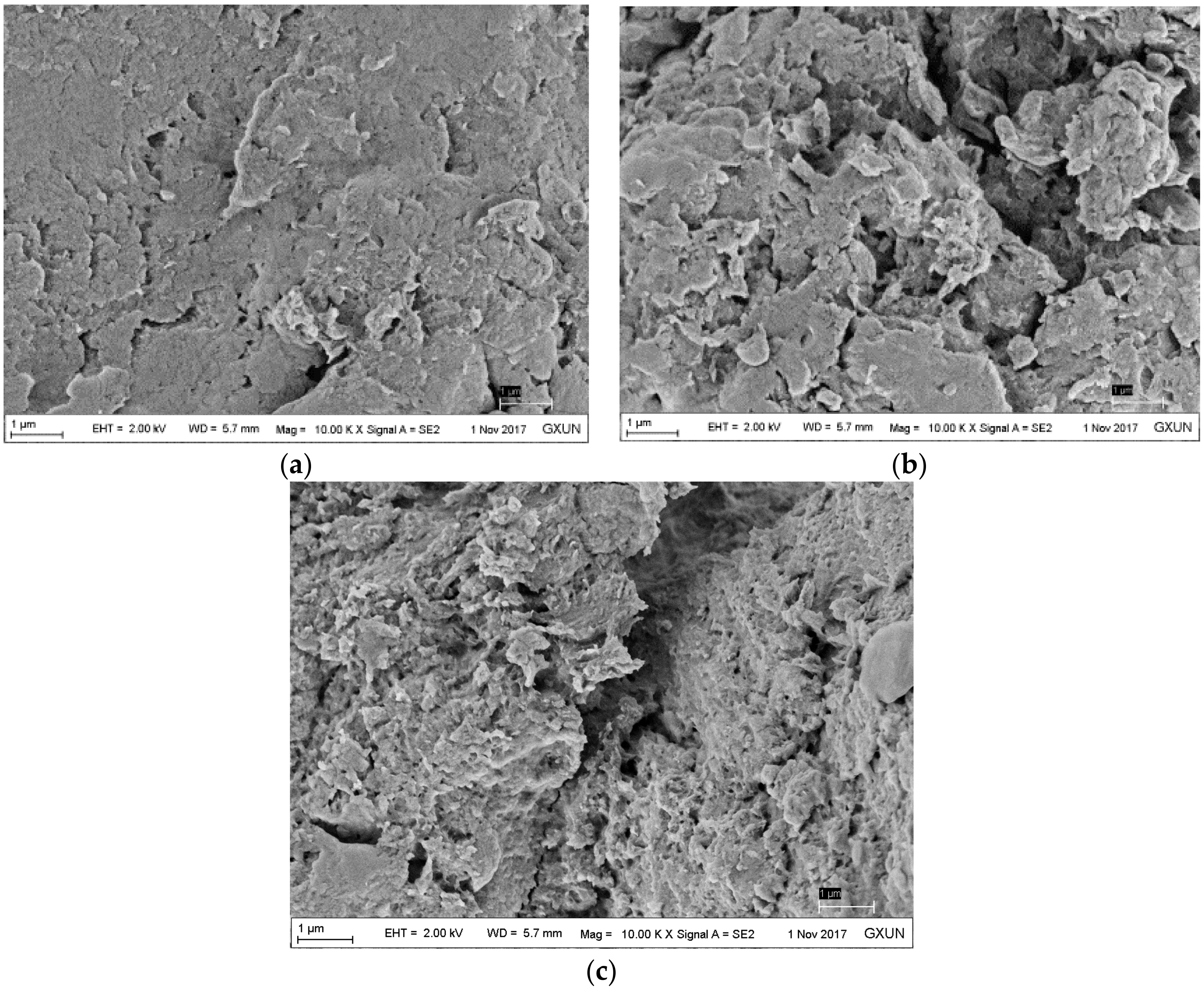 Polymers 10 00931 g002 550