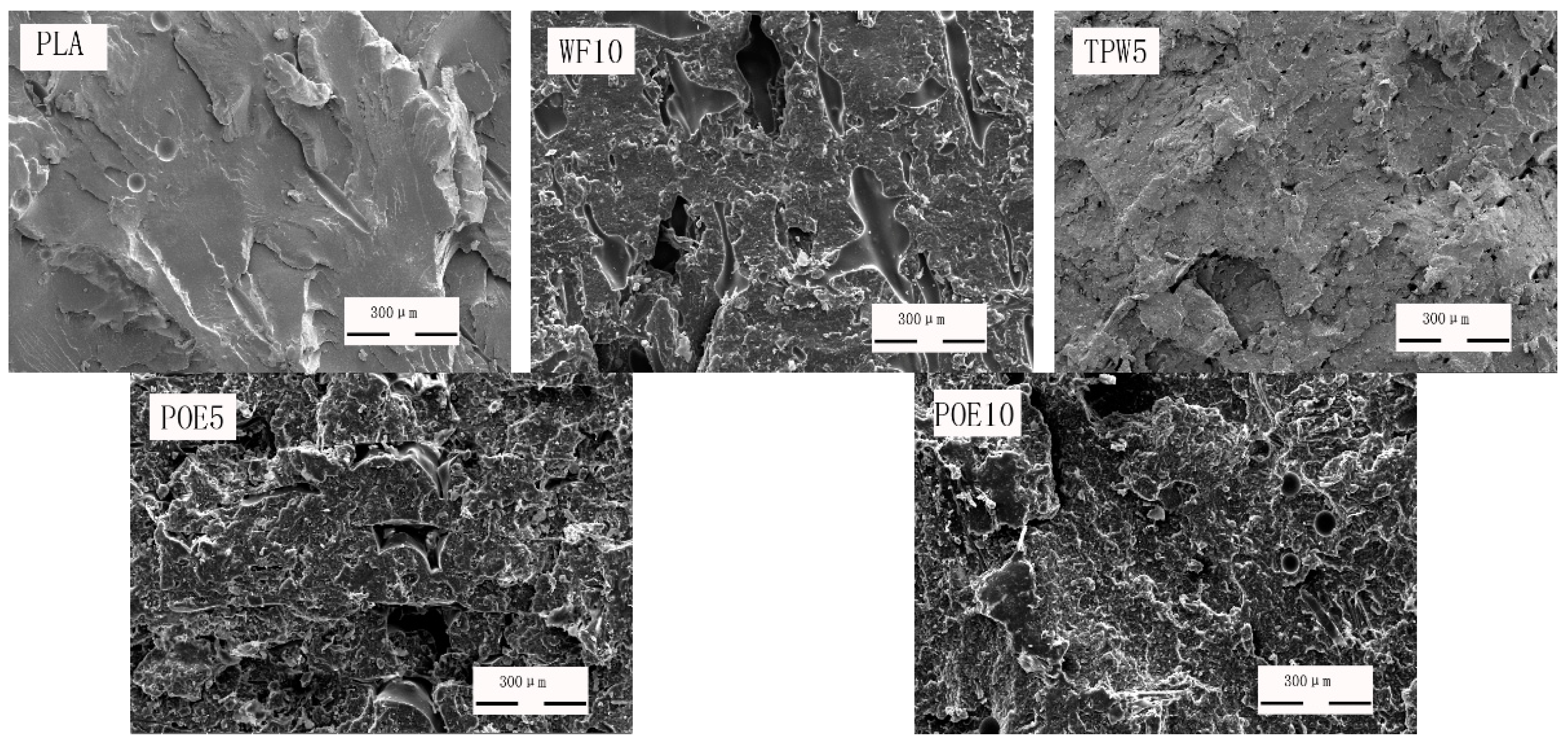 Polymers 10 00932 g007a 550