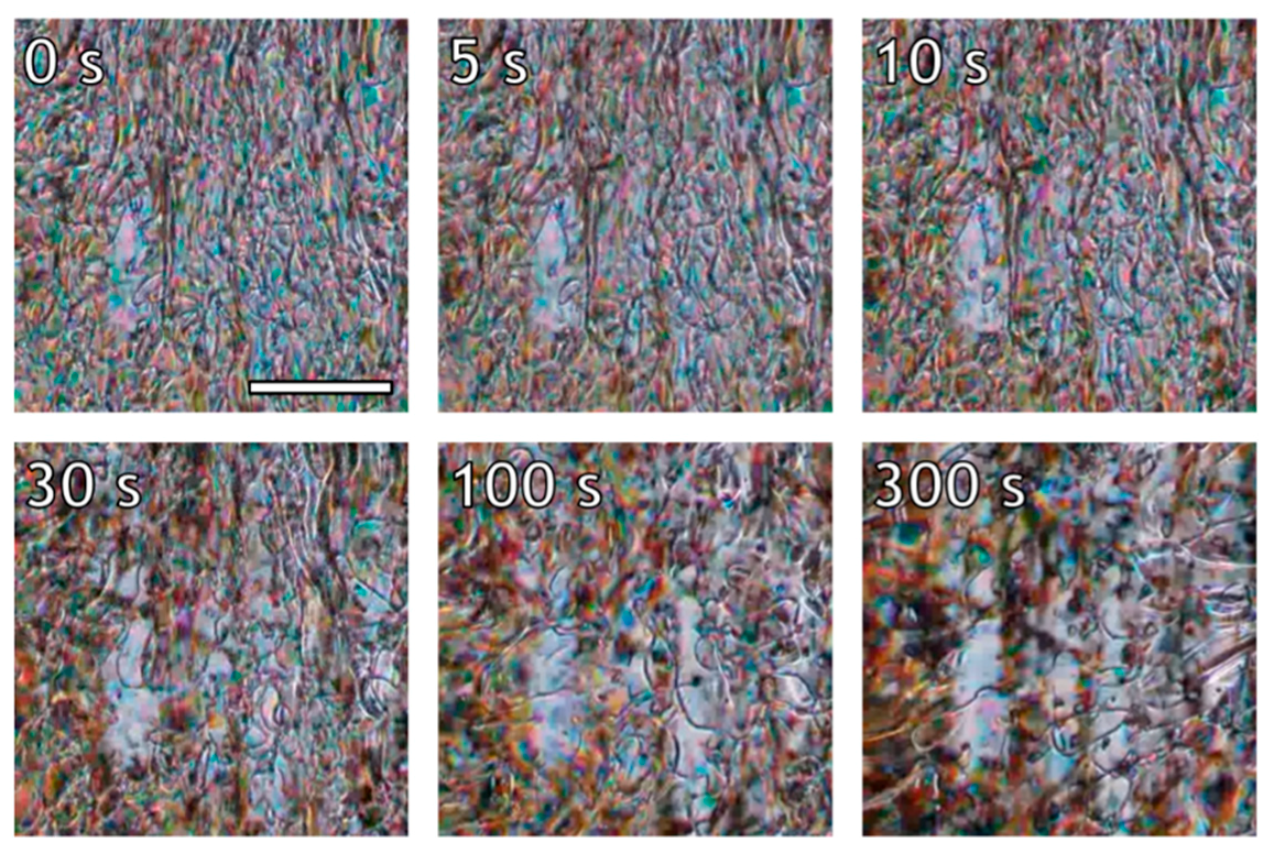 Polymers 10 00935 g004