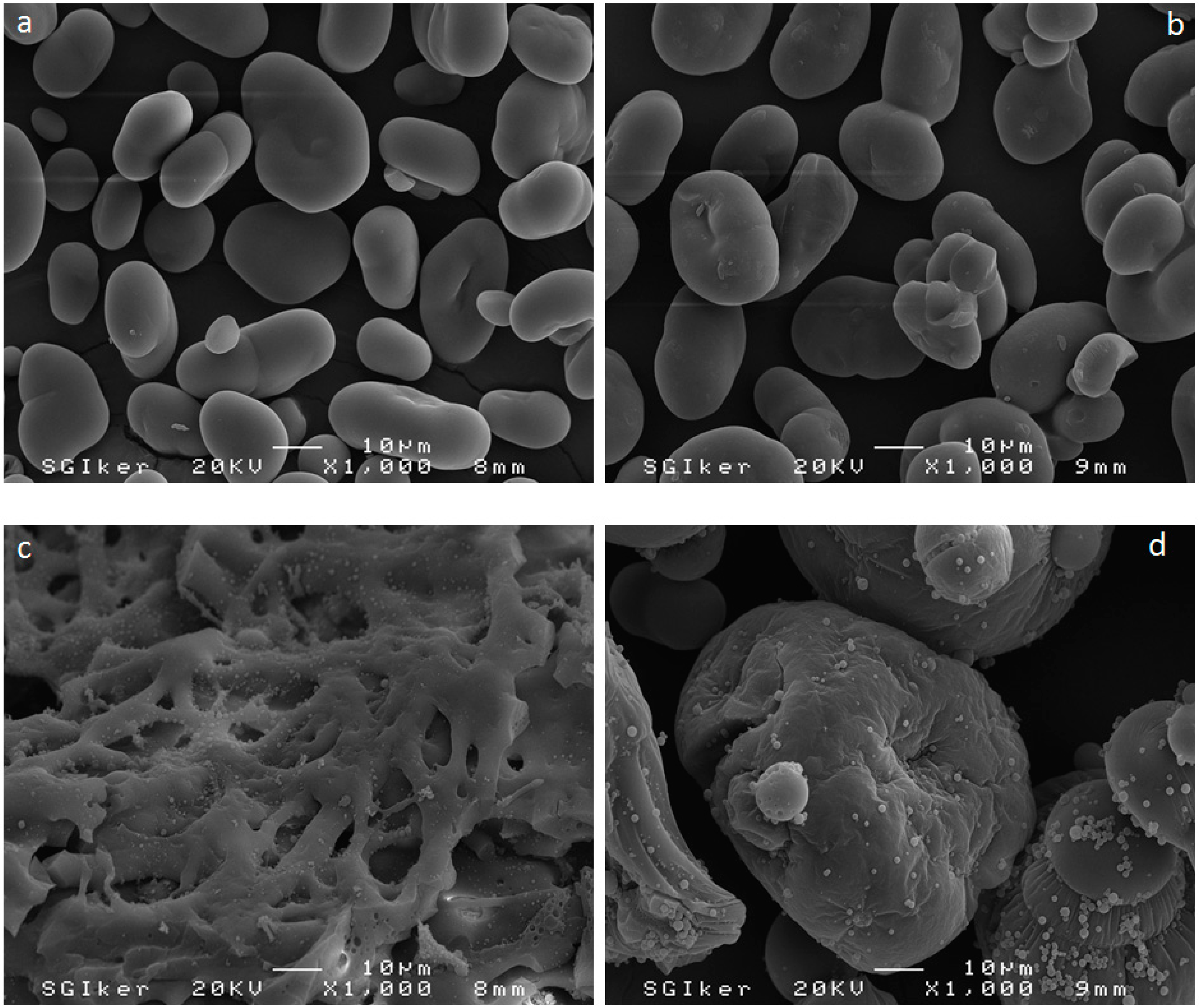 Polymers 10 00939 g006 Polymers 10 00939 g006